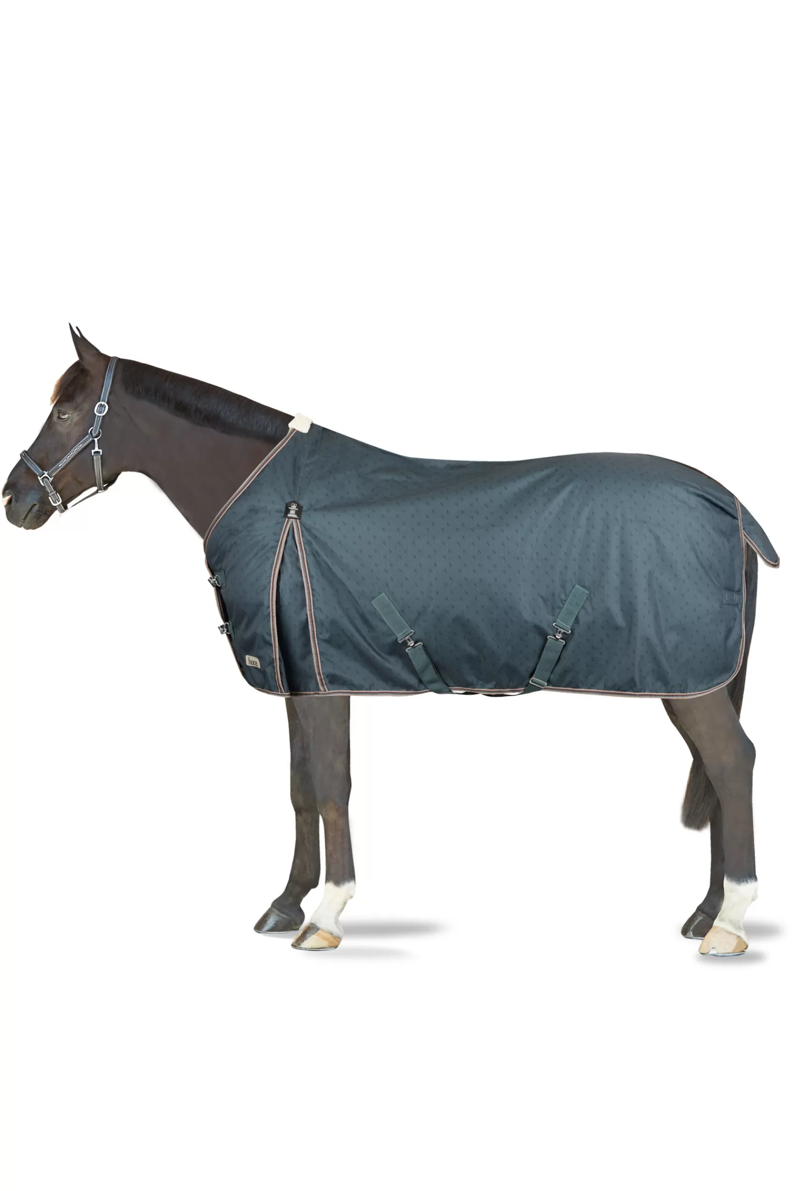 horze Leighton Teens Collection Turnout Rug With Logo Print, 200G> Medium & Heavyweight Turnout Rugs