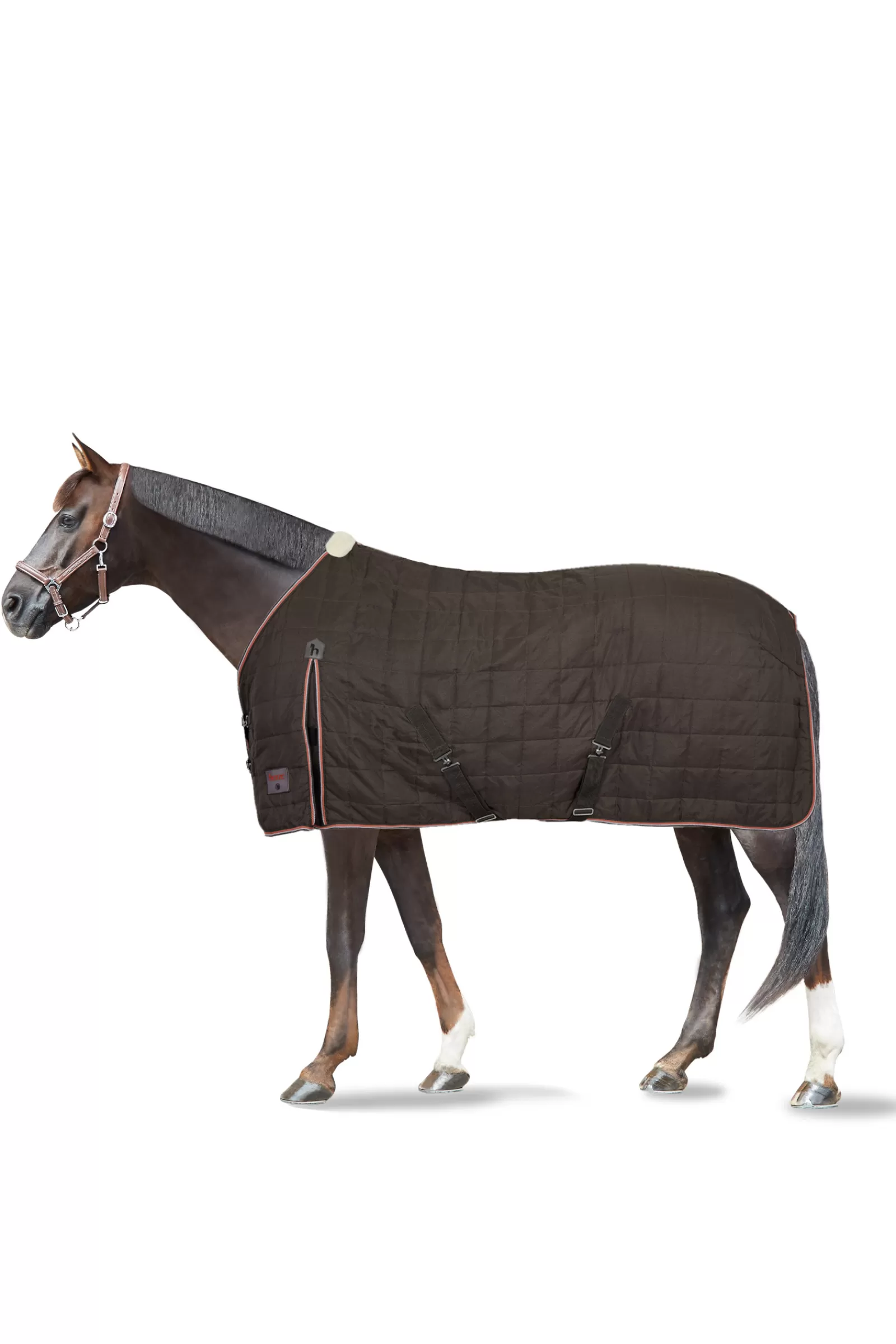 horze Lucerne Stable Rug, 150G> Stable Rugs & Liners