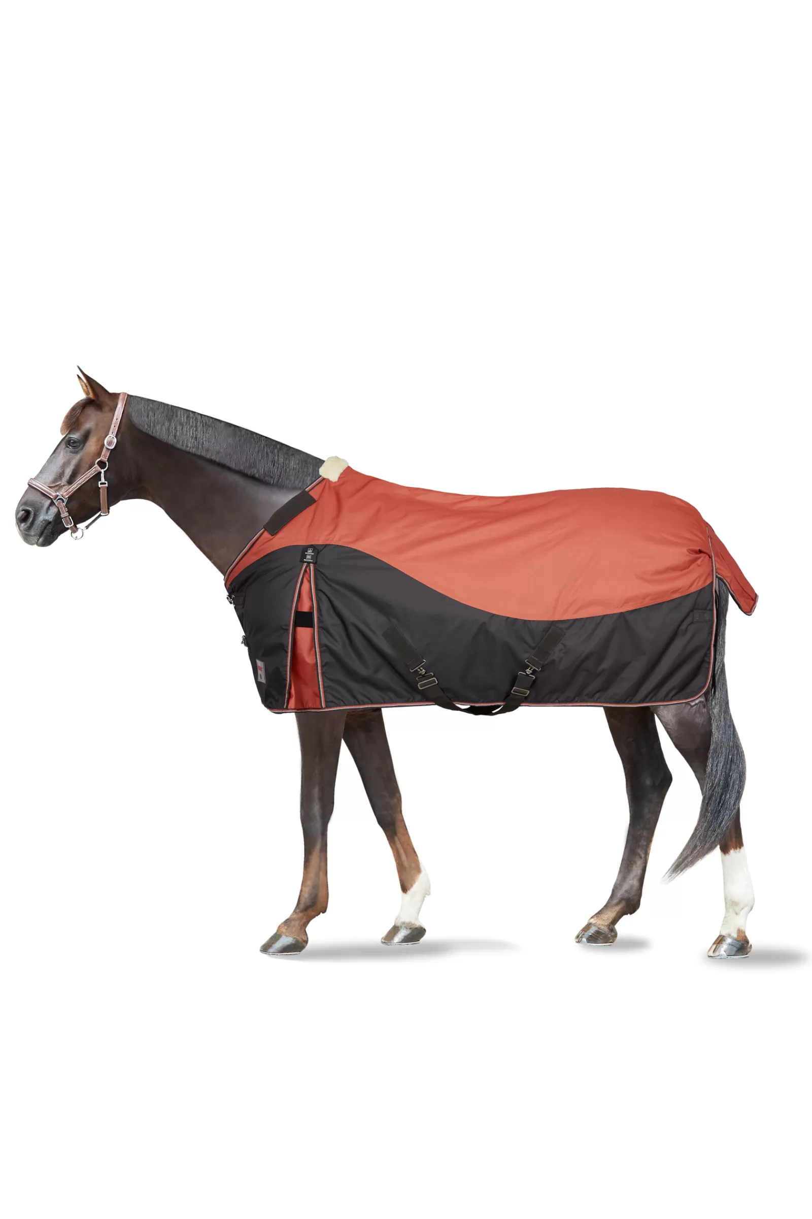 horze Lucerne Turnout Rug, 150G> Lightweight Turnout Rugs