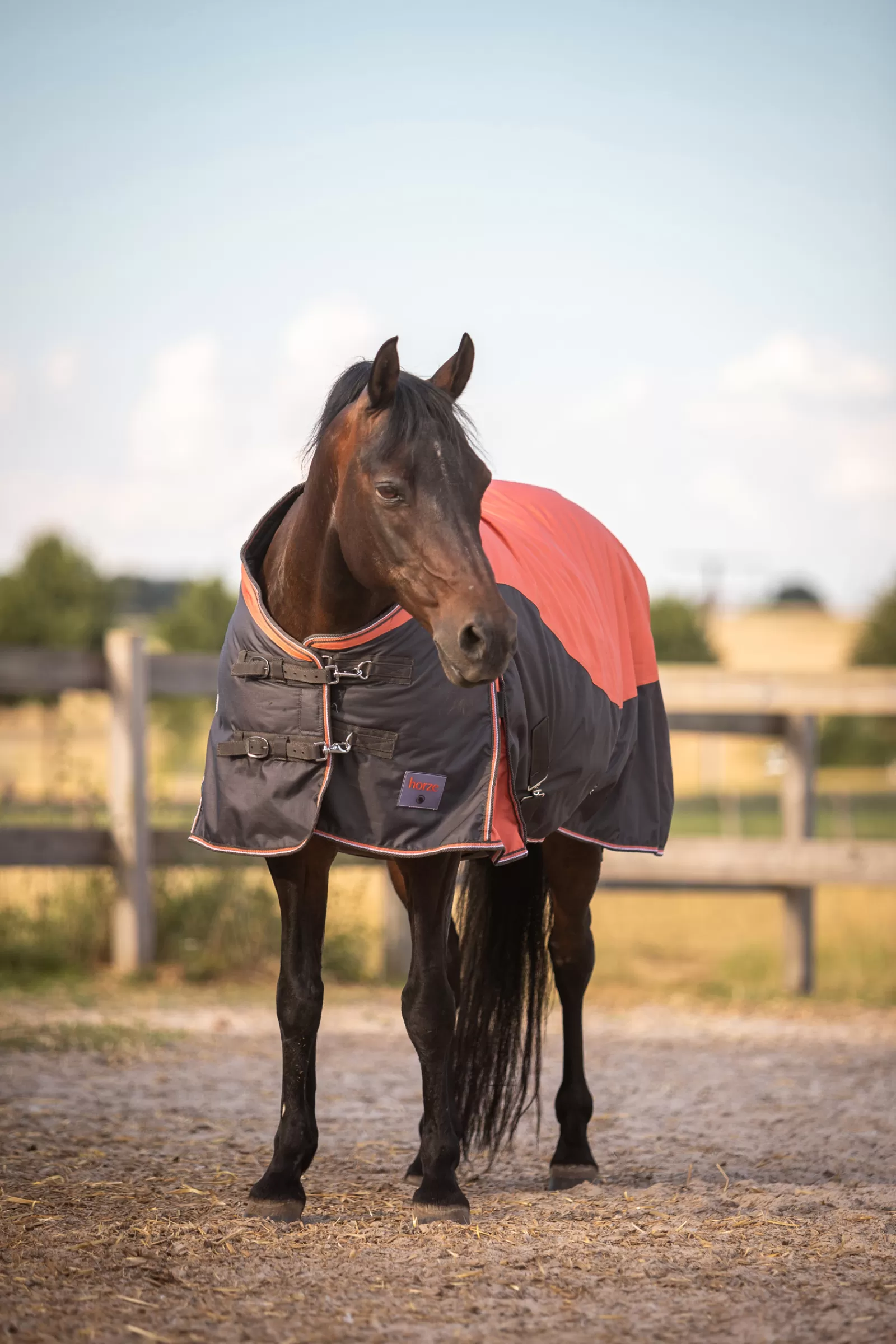 horze Lucerne Turnout Rug, 250G> Medium & Heavyweight Turnout Rugs