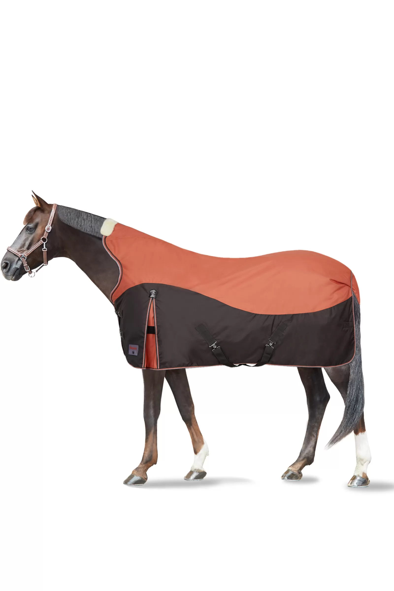 horze Lucerne Turnout Rug With High Neck, 250G> Medium & Heavyweight Turnout Rugs