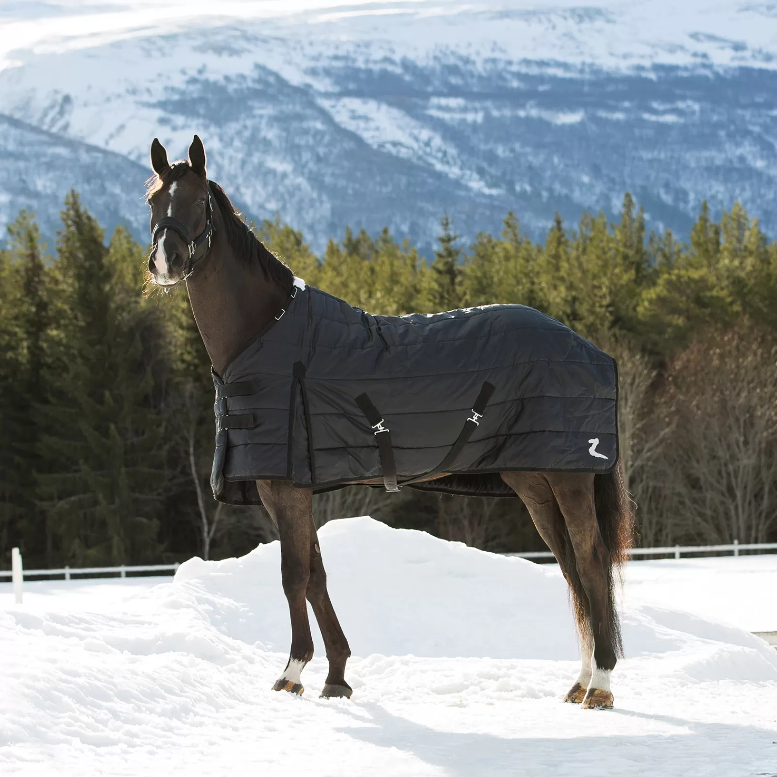 horze Nevada Mid-Season Stable 100G> Stable Rugs & Liners