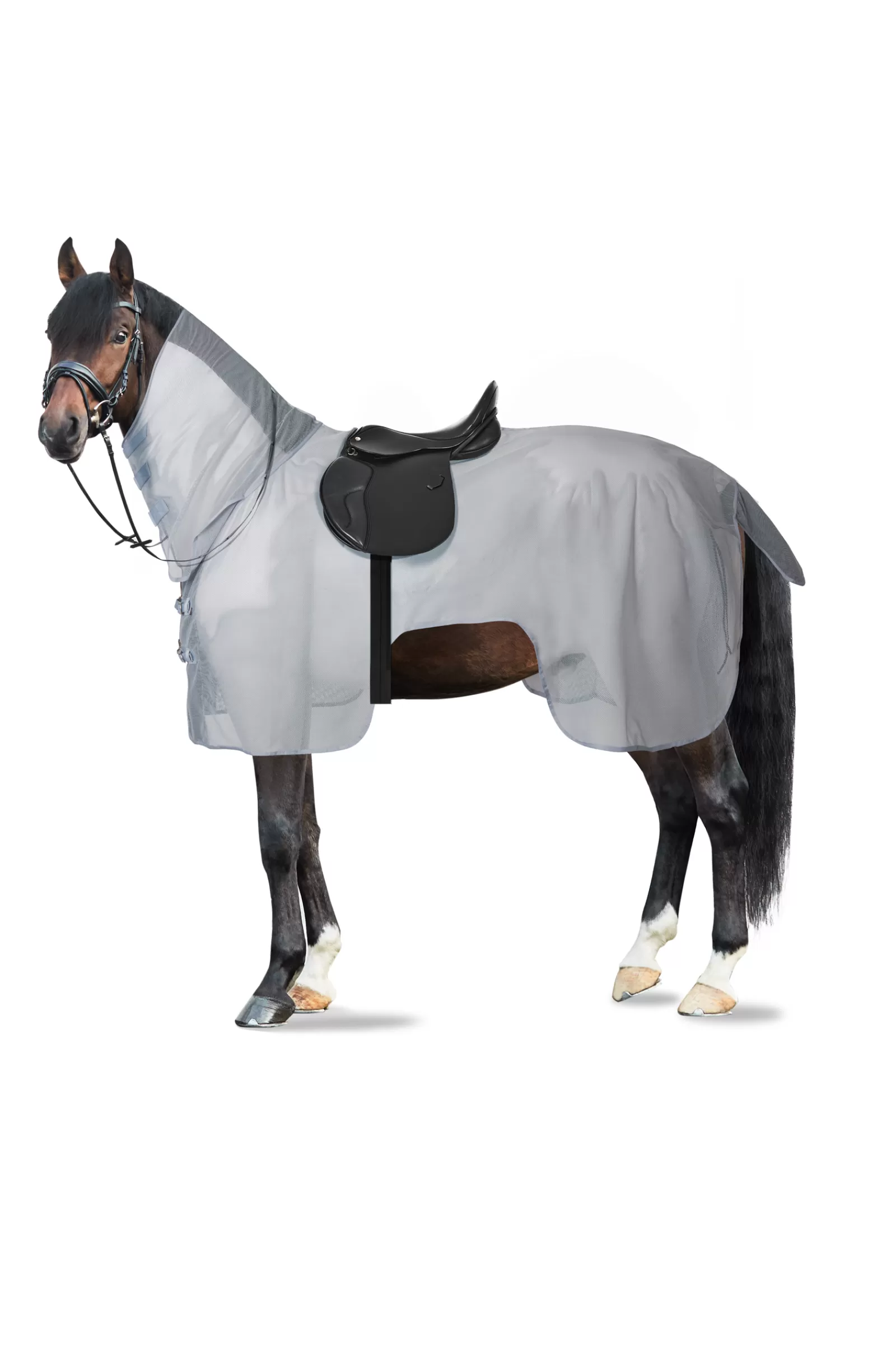 horze Orleans Fly Riding Rug> Fly Rugs