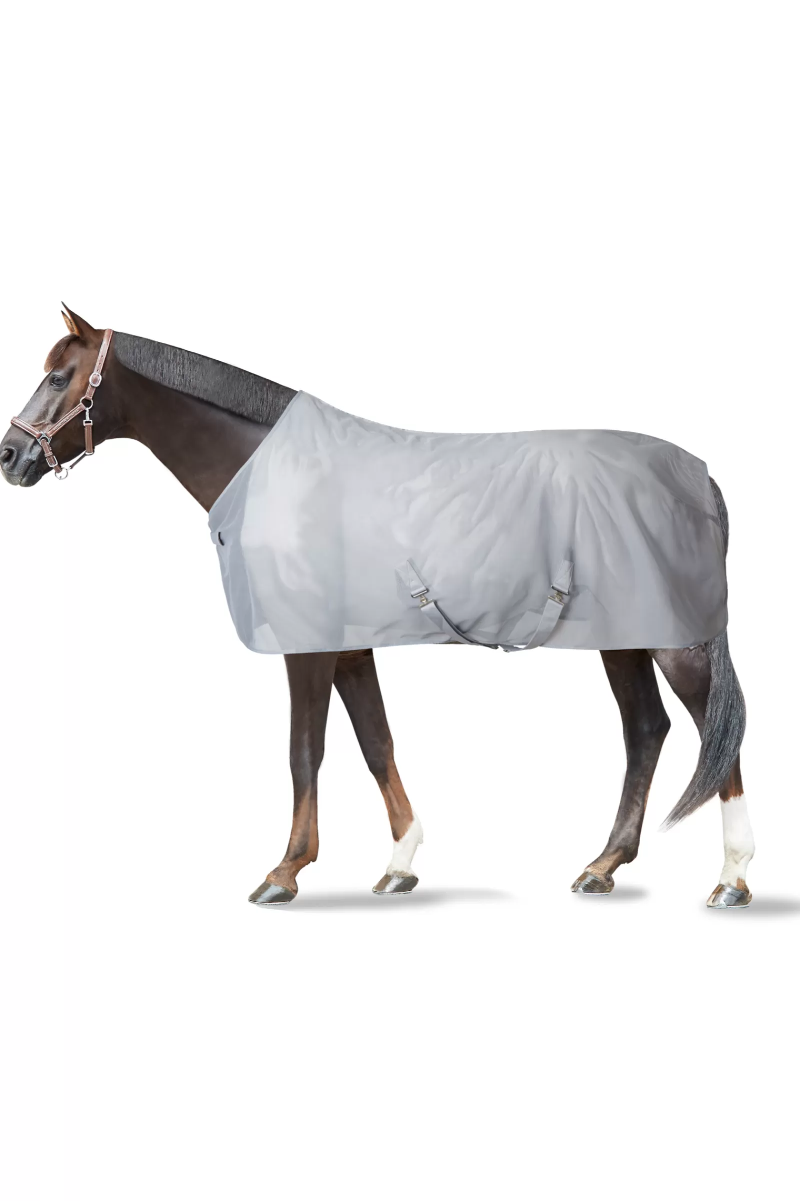 horze Orleans Fly Rug> Fly Rugs