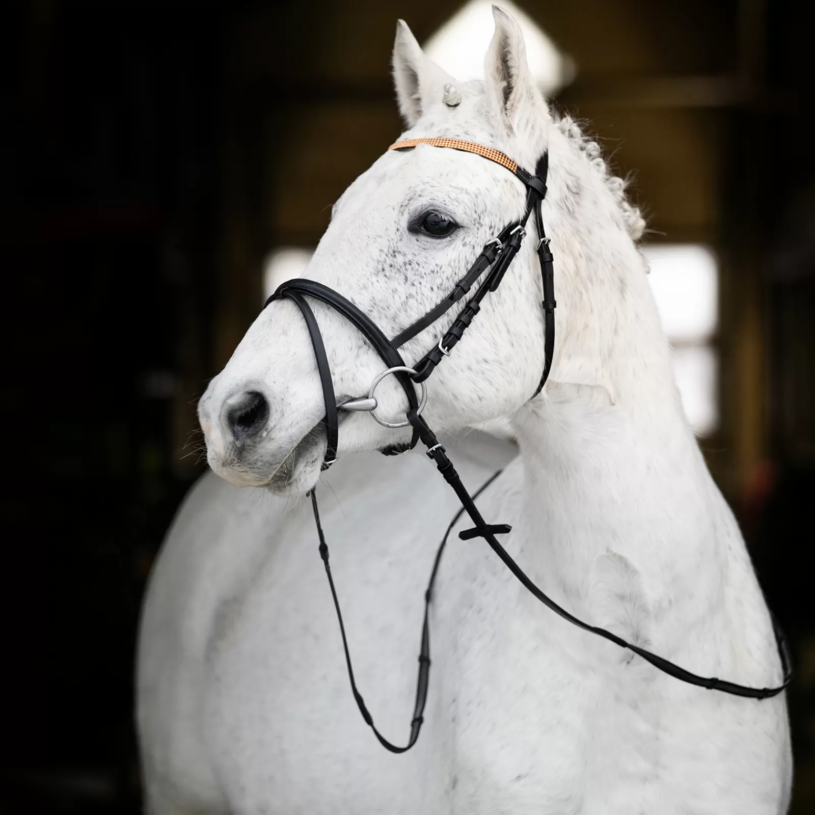 horze Pony Bridle> Bridles & Nosebands