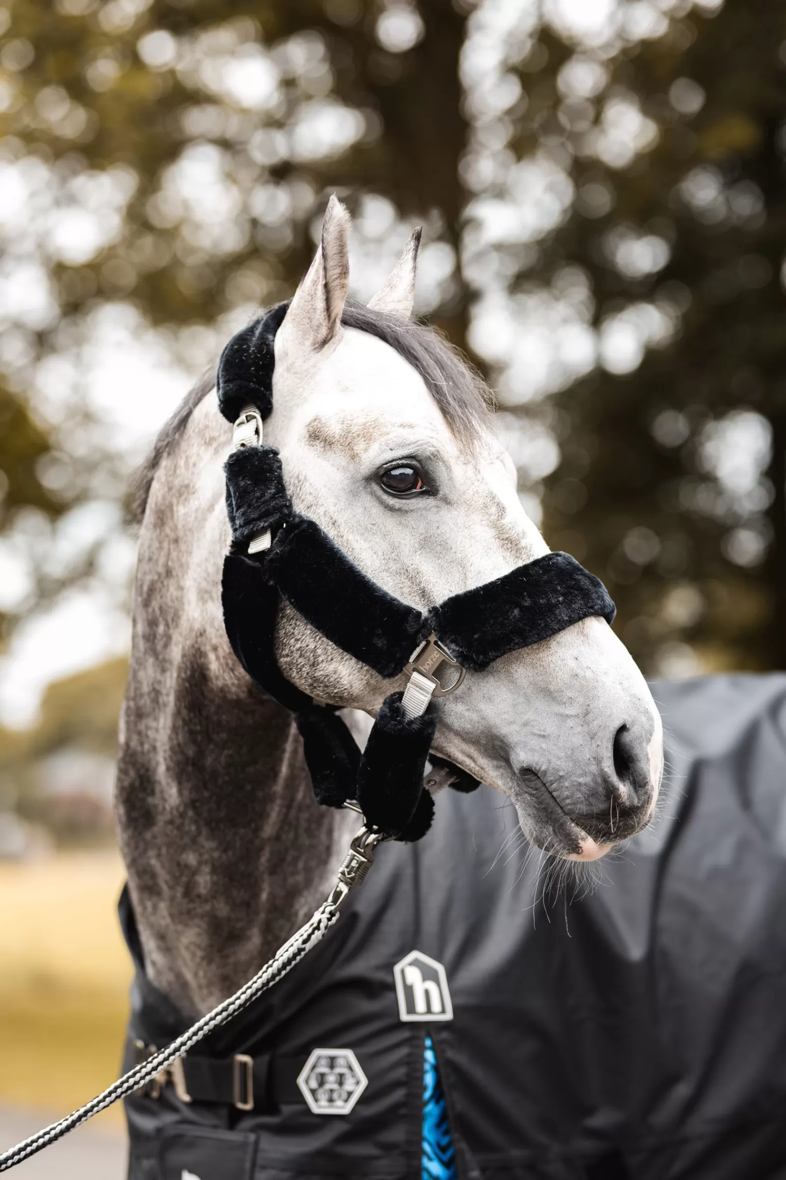 horze Smoky Twilight Faux Fur Halter> Headcollars & Halters