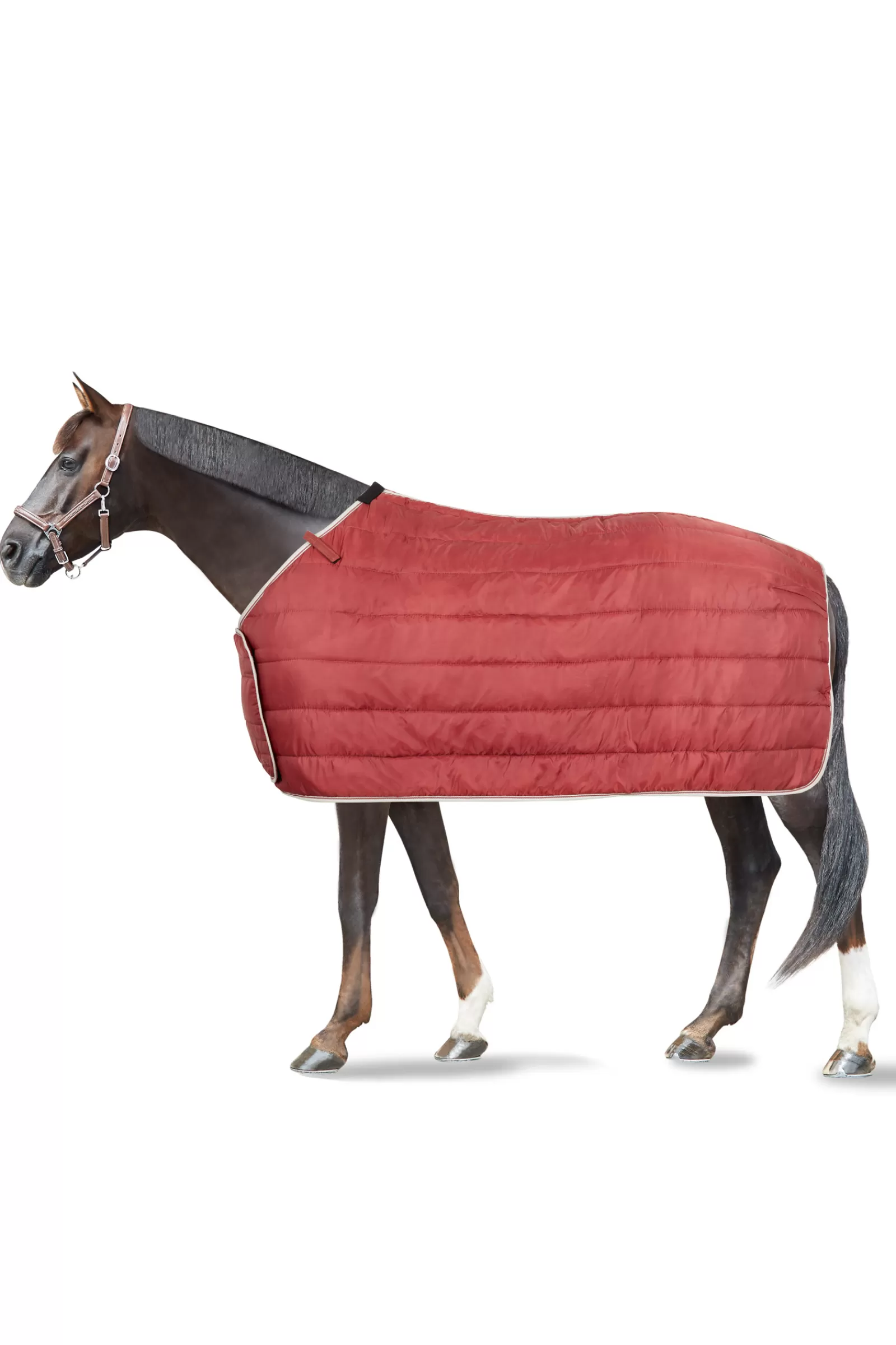 horze Sudbury 2-In-1 Turnout Rug, 50G, 100G> Lightweight Turnout Rugs