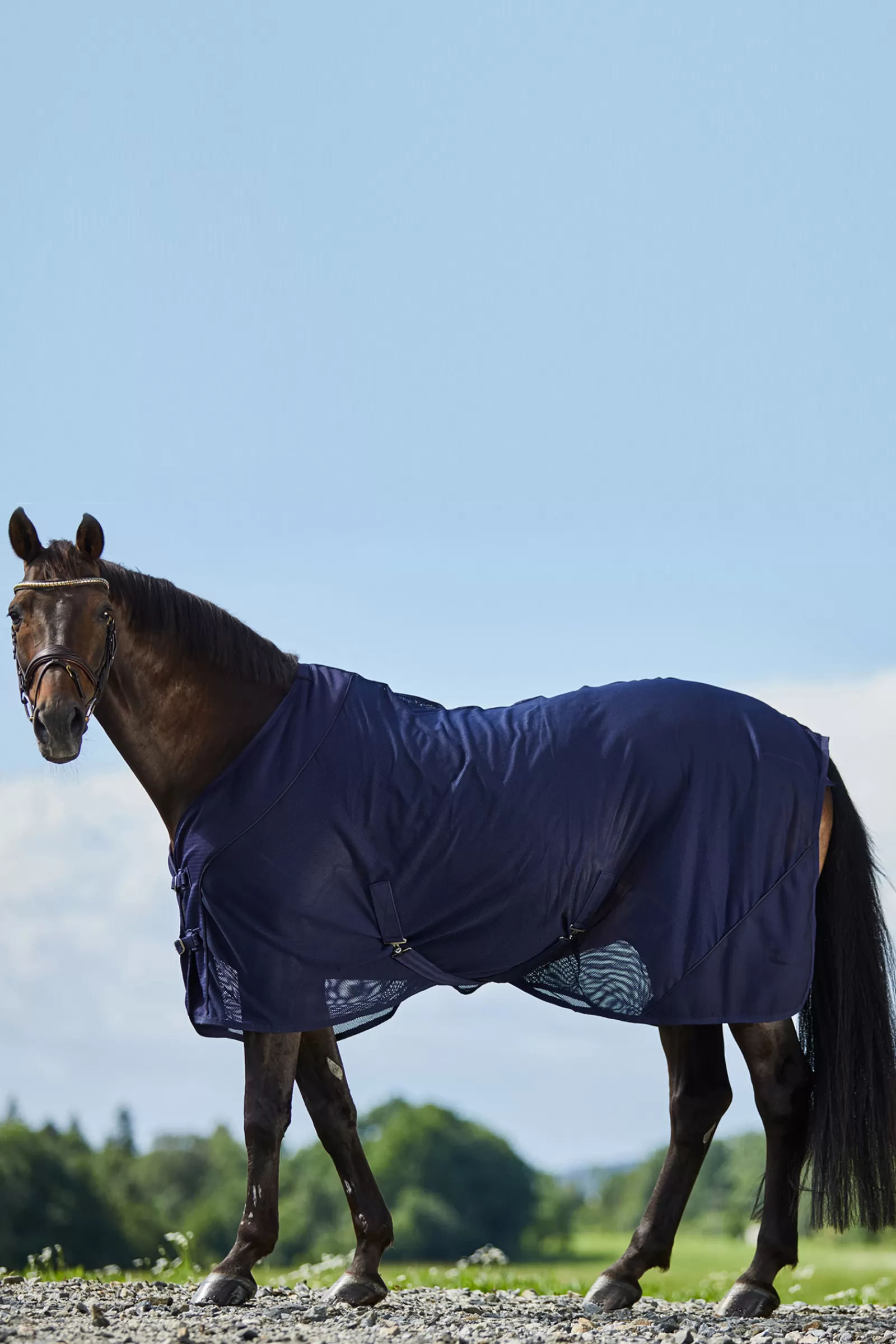 horze Turin Mesh Cooler Rug> Fleece Horse Rugs & Cooler Rugs