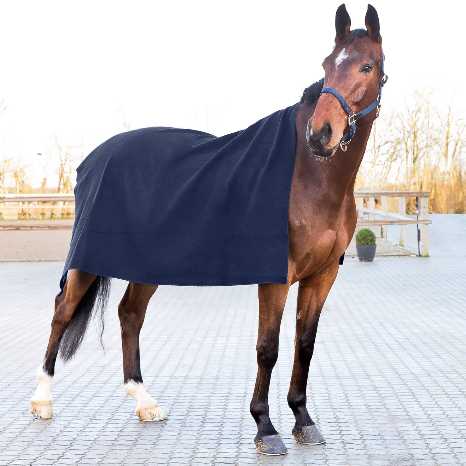 horze Vail Square Wool Cooler> Fleece Horse Rugs & Cooler Rugs