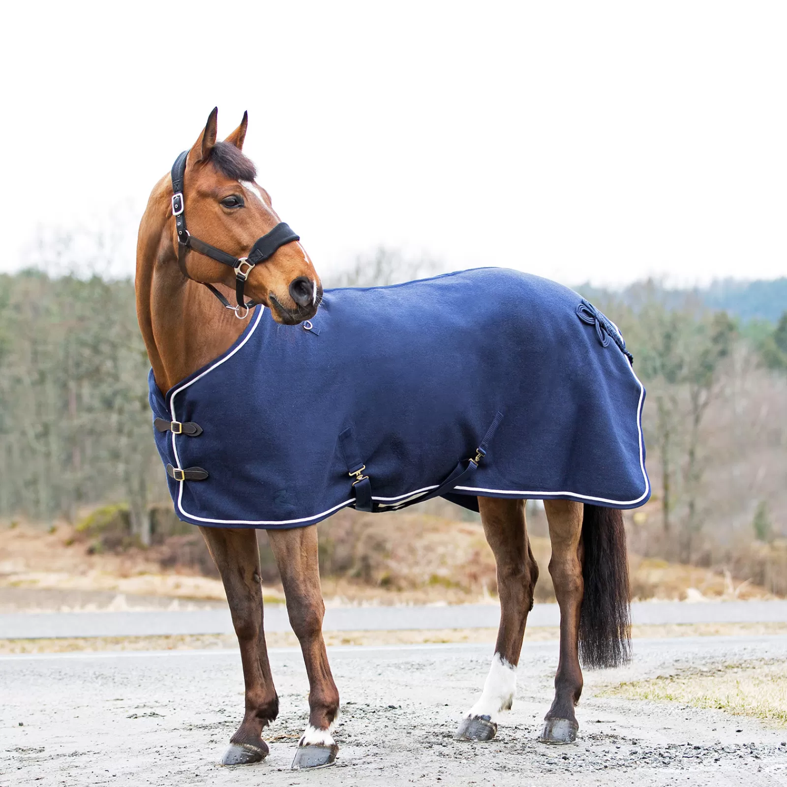 horze Vail Wool Rug> Fleece Horse Rugs & Cooler Rugs