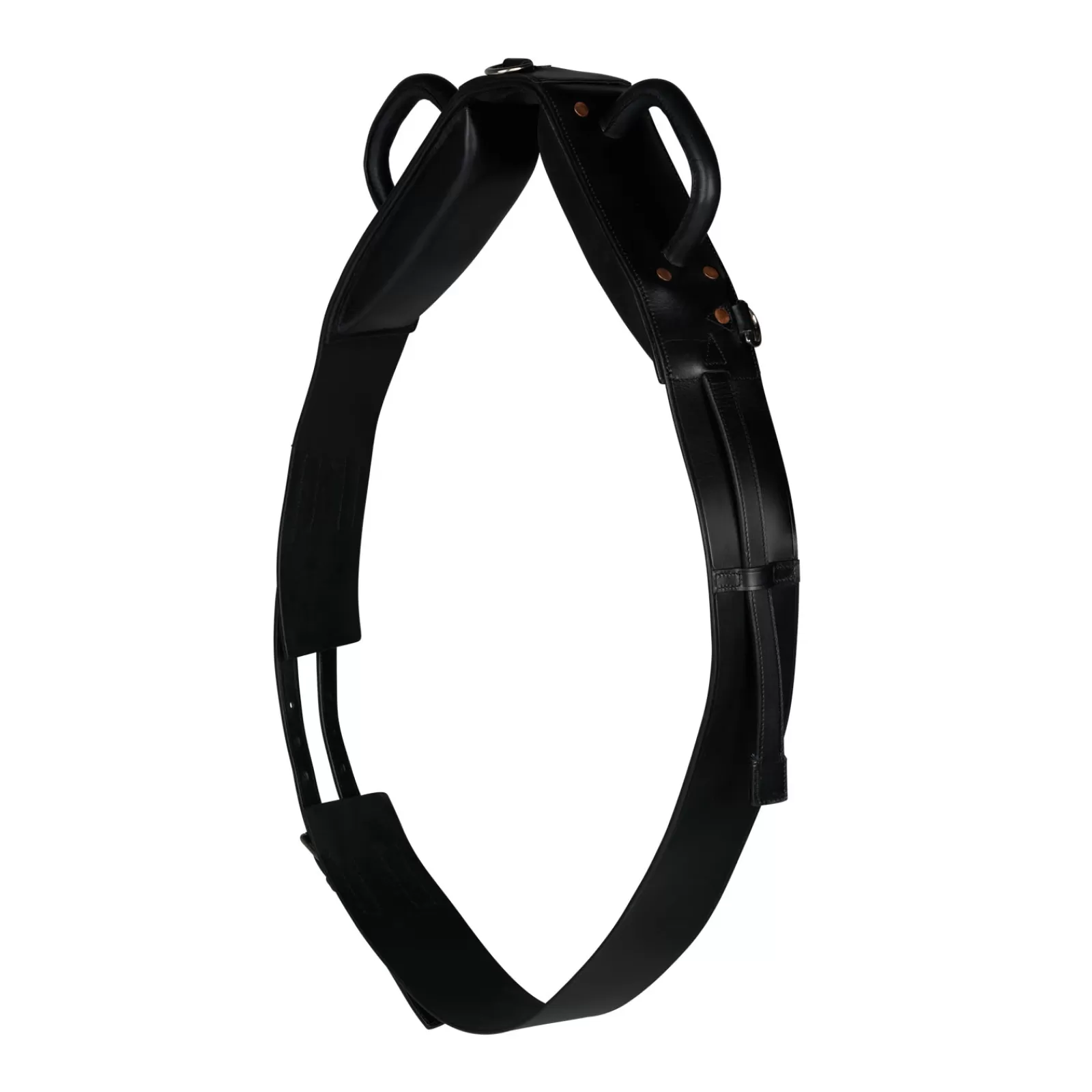 horze Voltige Girth> Lunge Lines & Lunging Ropes