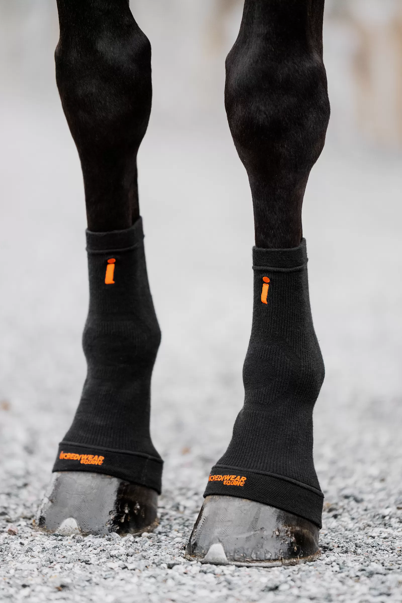 incrediwear Equine Hoof Socks> Hoof Boots