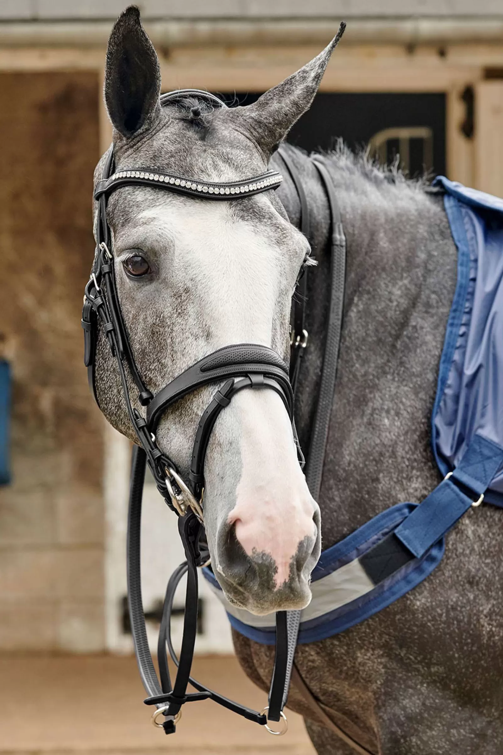 johnwhitaker John Whitaker Chicago Perforated Bling Bridle> Bridles & Nosebands