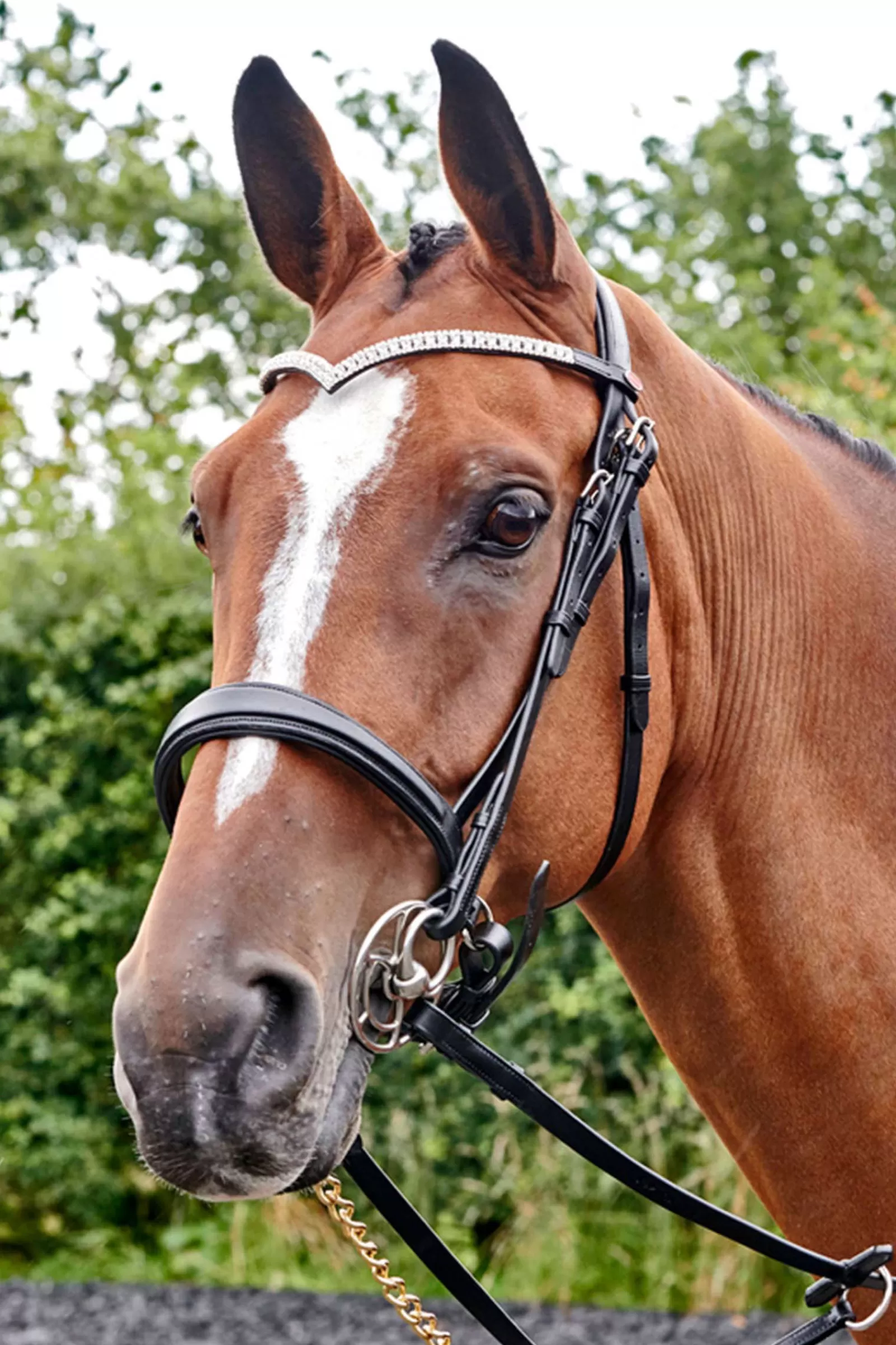 johnwhitaker John Whitaker Lynton Snaffle Bridle With Spare Browband> Bridles & Nosebands