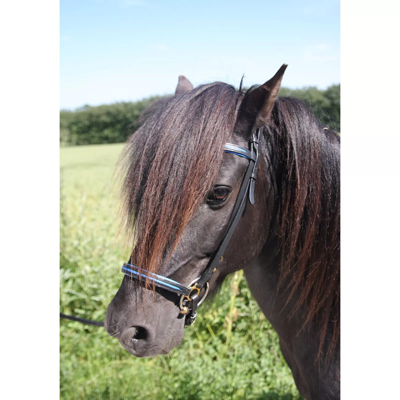 karlslund New Style Noseband> Bridles & Nosebands