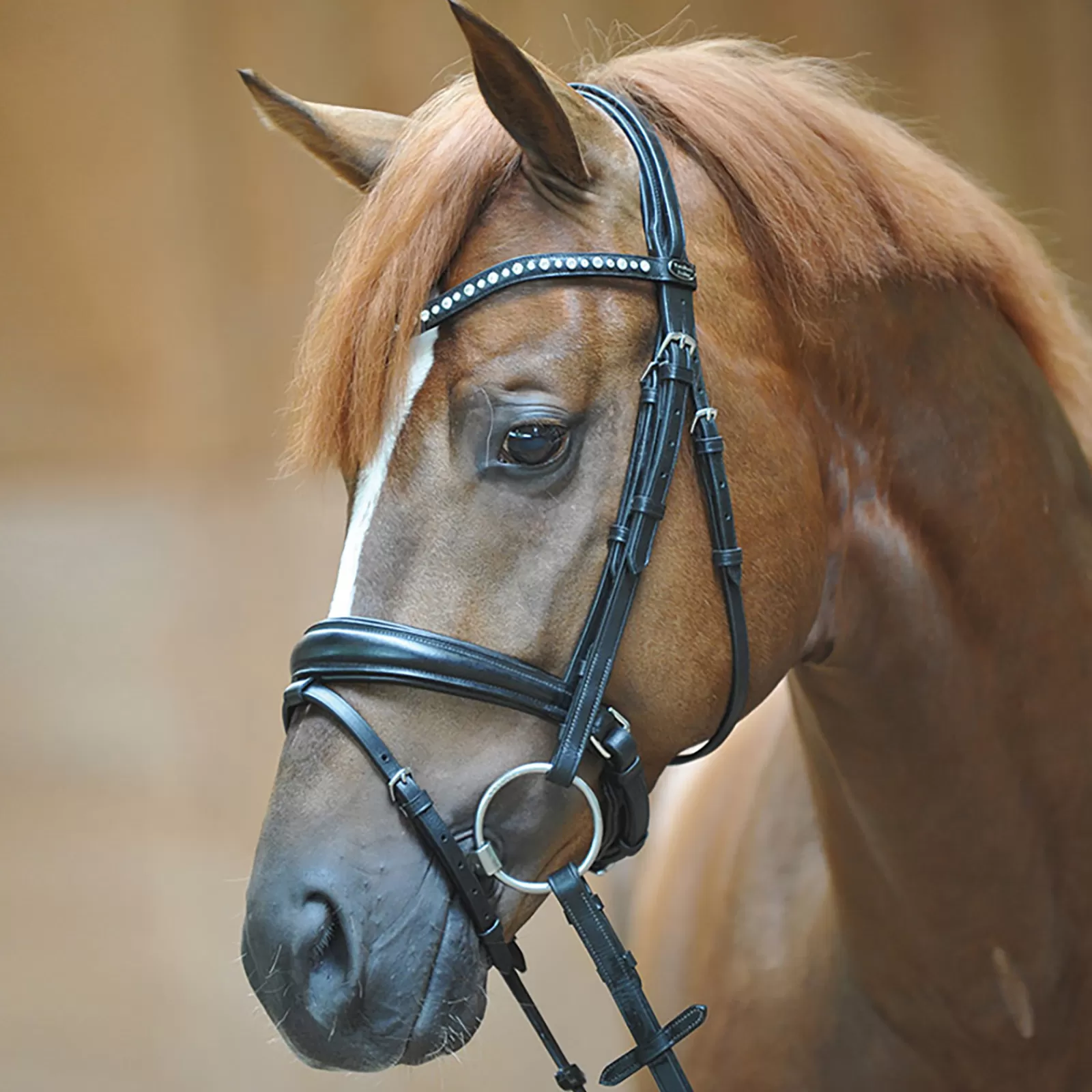 kavalkade Bridle Mia, Crank Noseband W/ Flash> Bridles & Nosebands