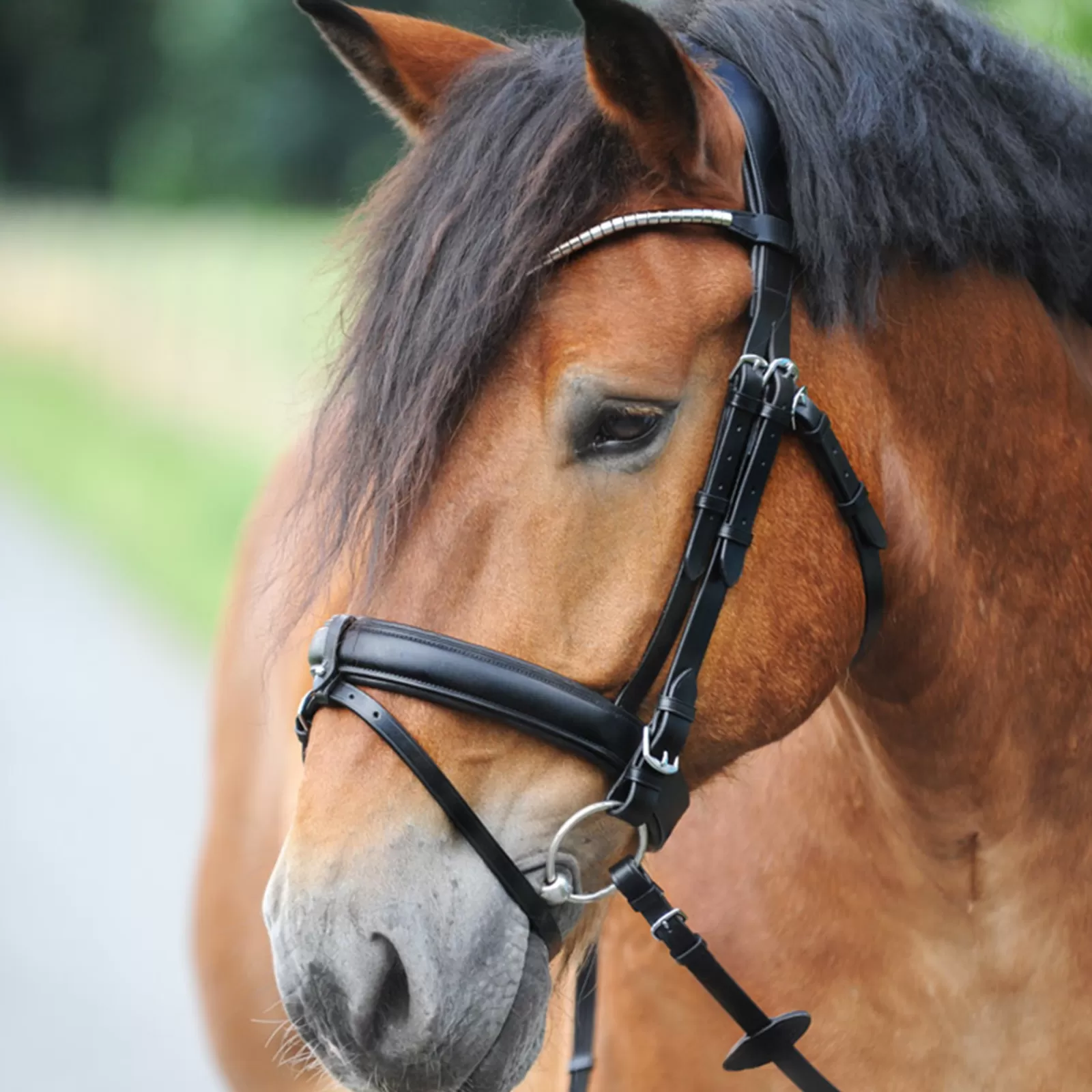 kavalkade Clinchesse Bridle> Bridles & Nosebands