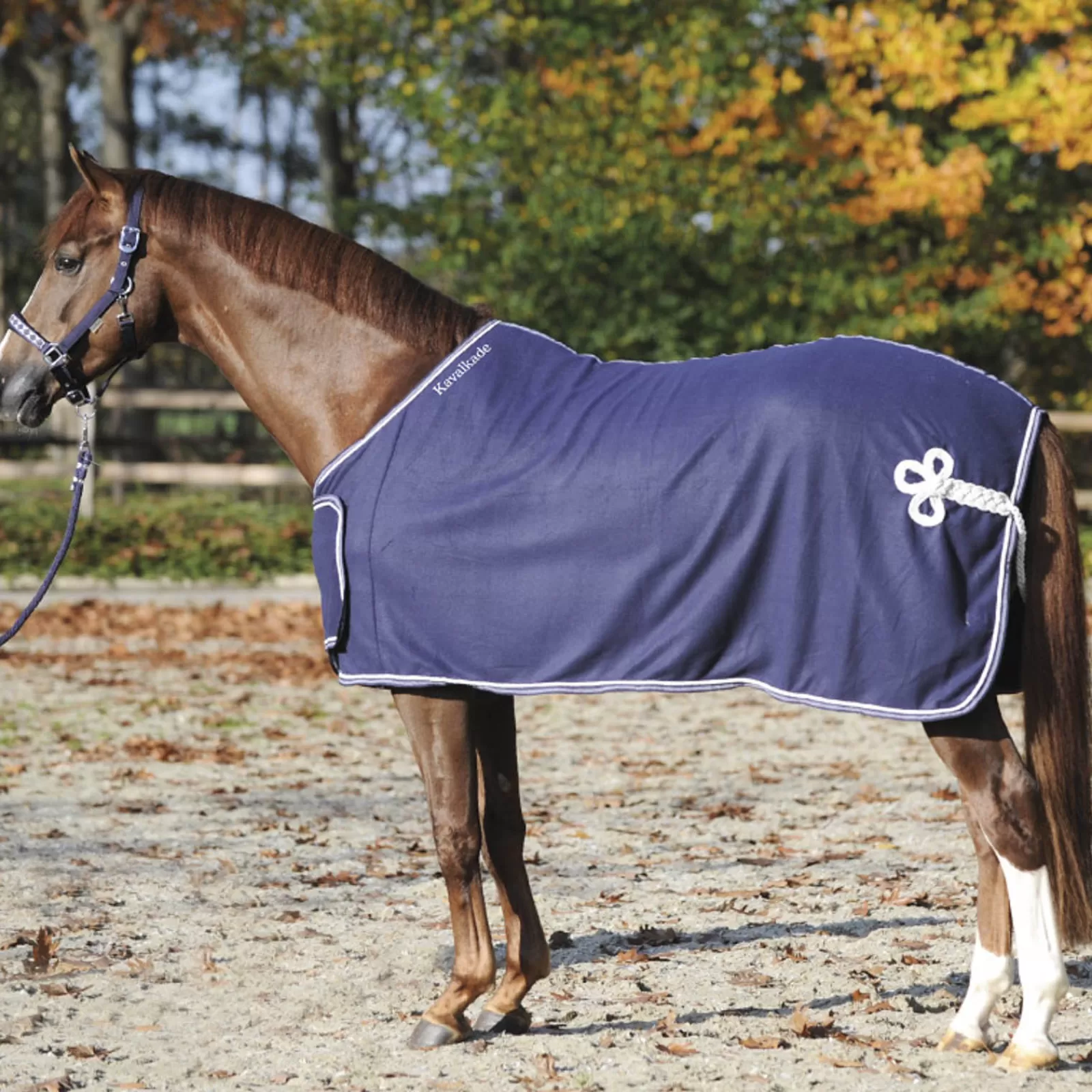 kavalkade Cooler With Chest Bib> Fleece Horse Rugs & Cooler Rugs