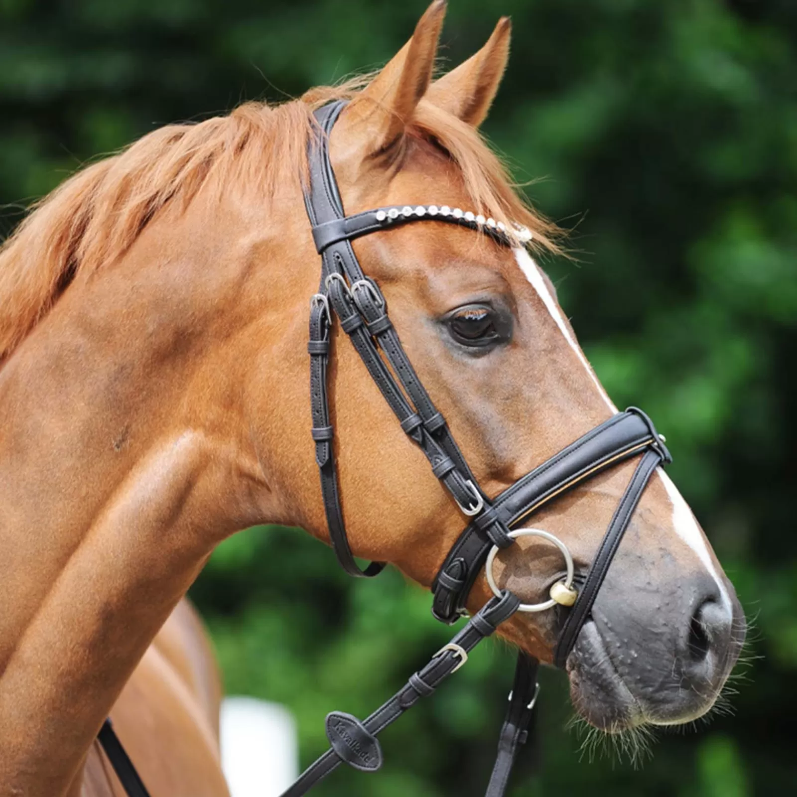 kavalkade Cortica Vegan Cork Reins> Reins