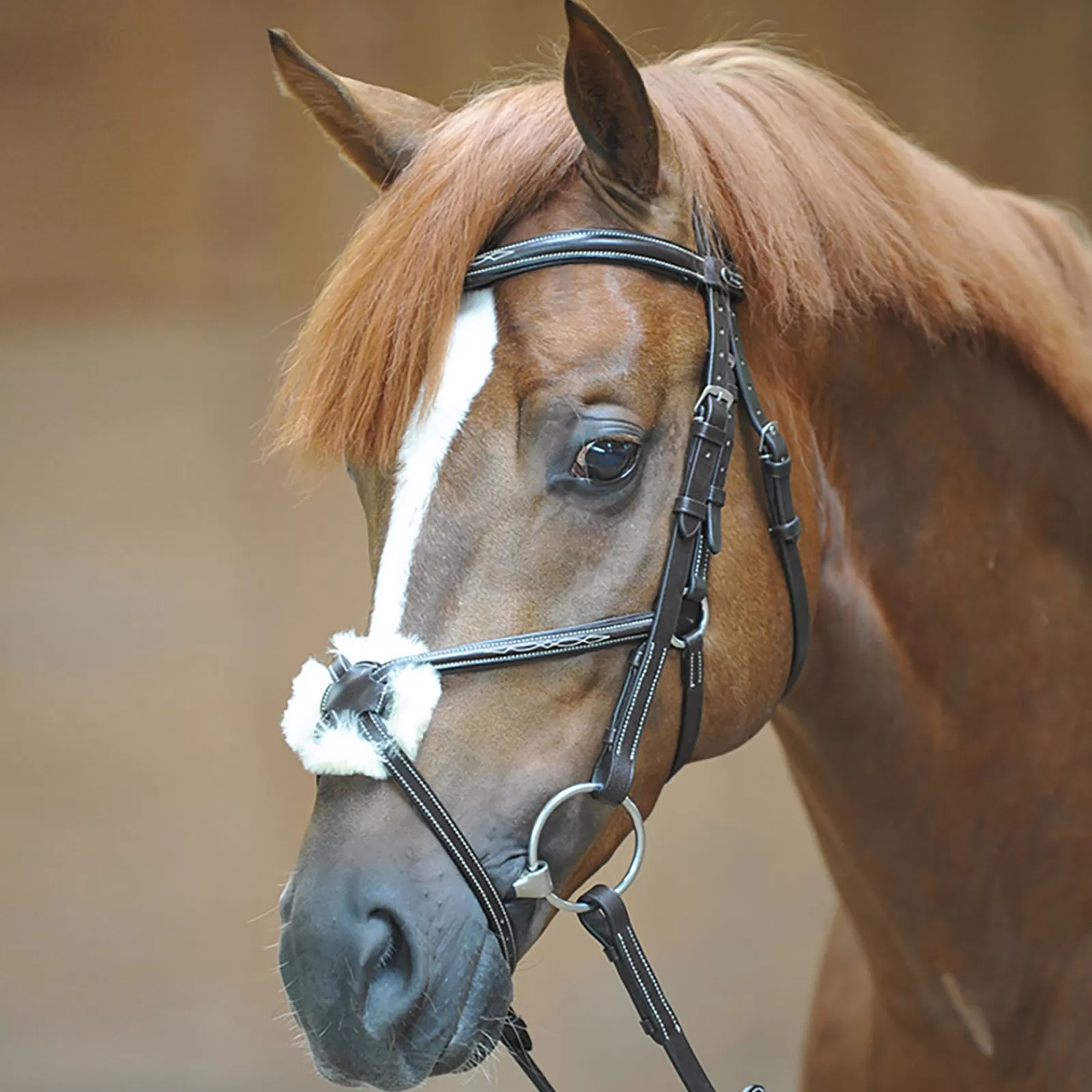 kavalkade Diandro Mexican Bridle> Bridles & Nosebands