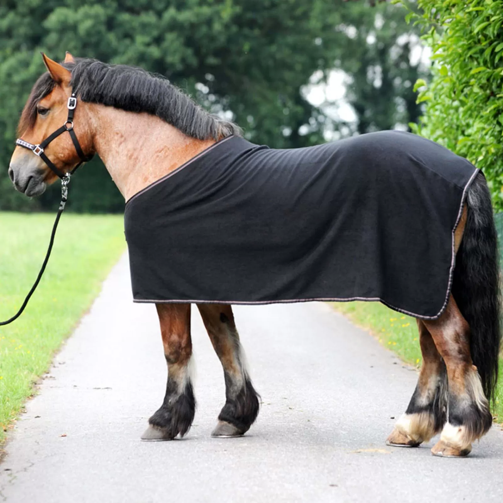 kavalkade Ecoline Draft Horse Cooler> Fleece Horse Rugs & Cooler Rugs