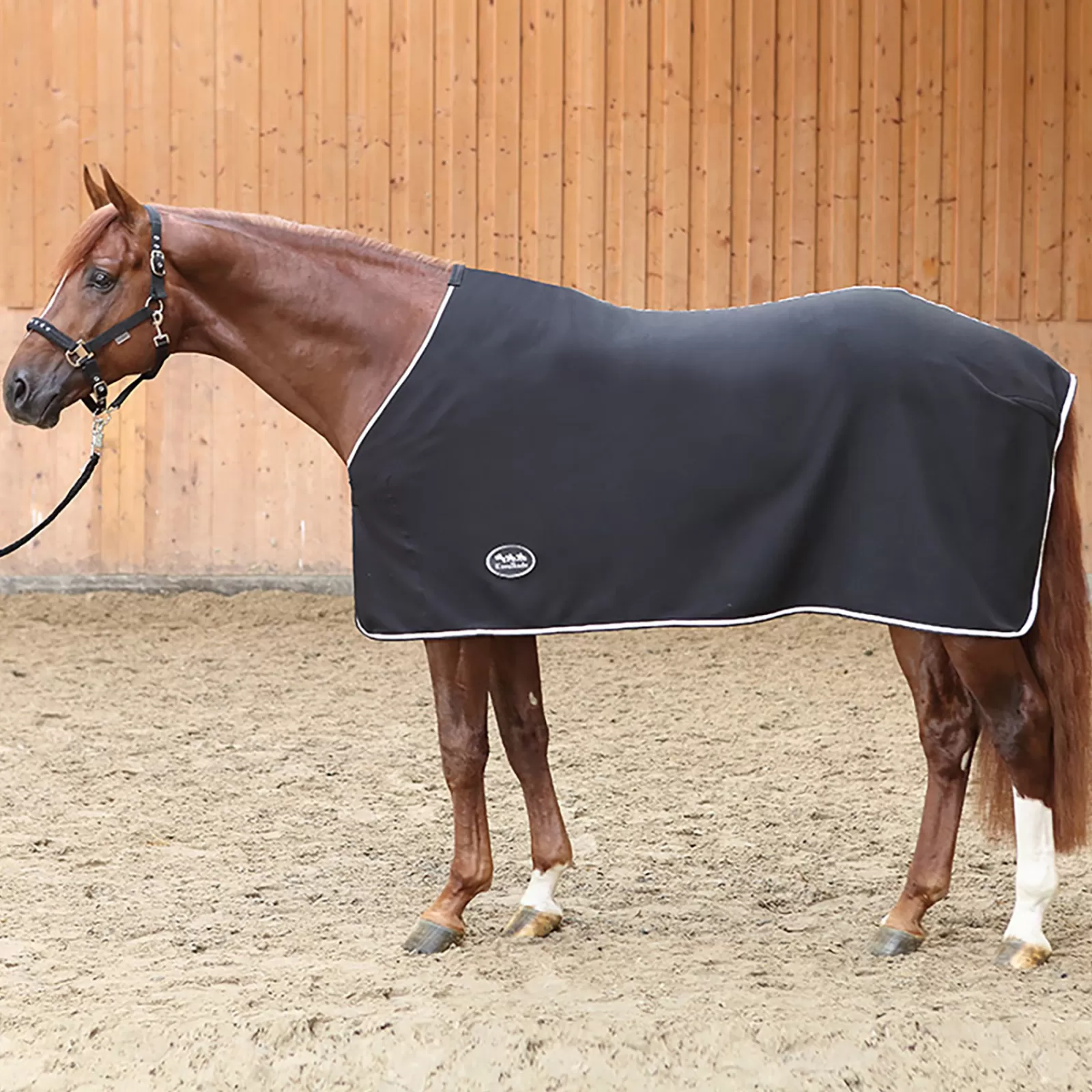 kavalkade Fleece Cooler> Fleece Horse Rugs & Cooler Rugs