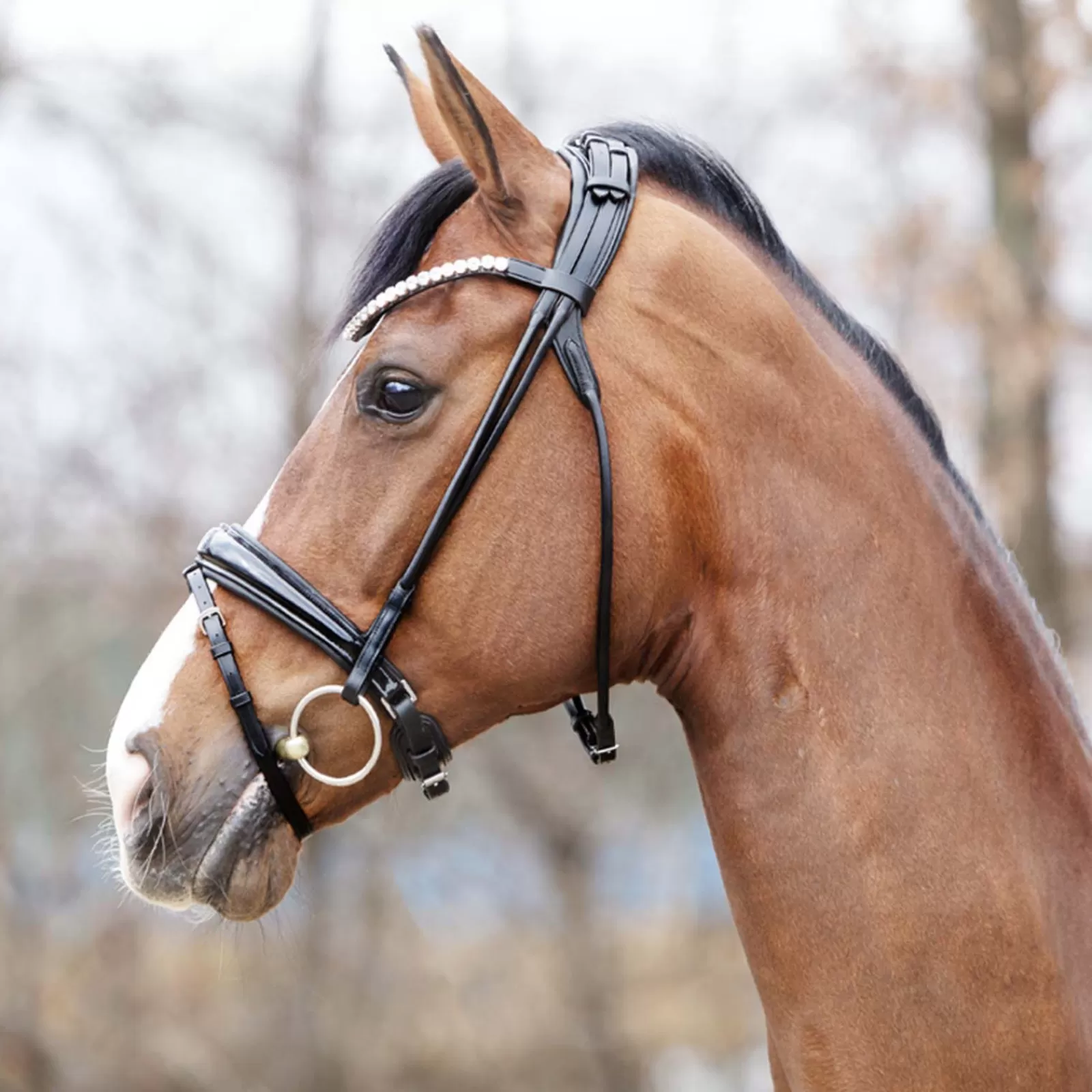 kavalkade Florina Kavalsh4 Bridle> Bridles & Nosebands