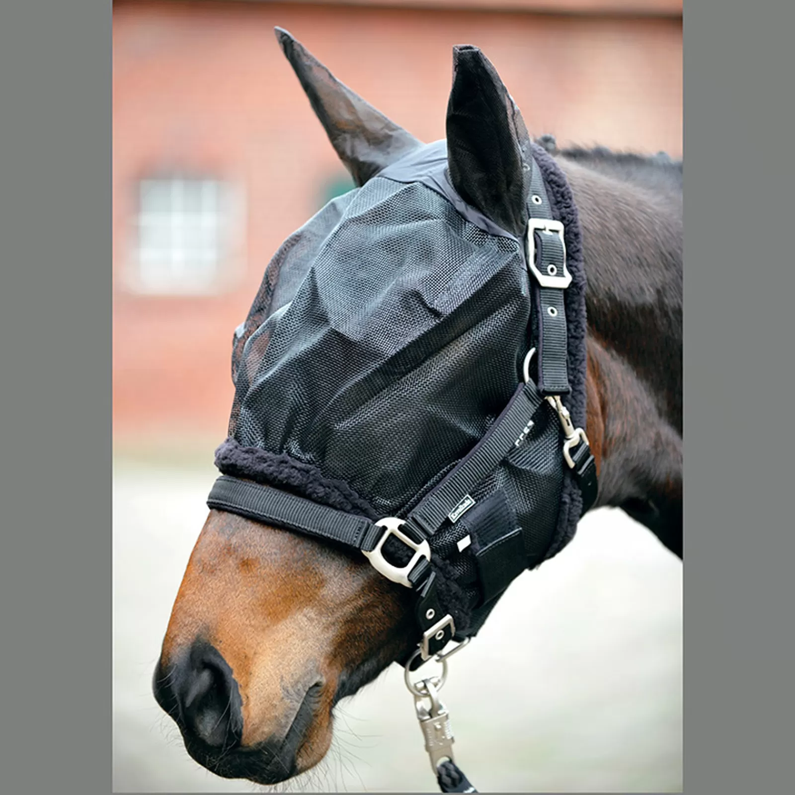 kavalkade Fly Mask With Ears> Fly Masks & Fringes