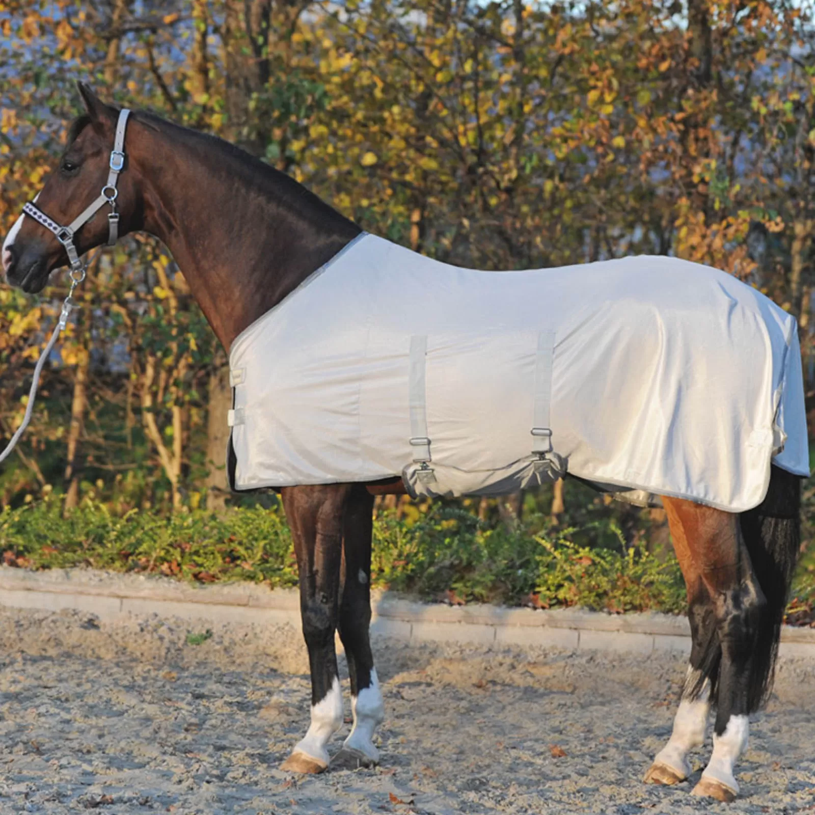 kavalkade Fly Rug With Removable Neck> Fly Rugs