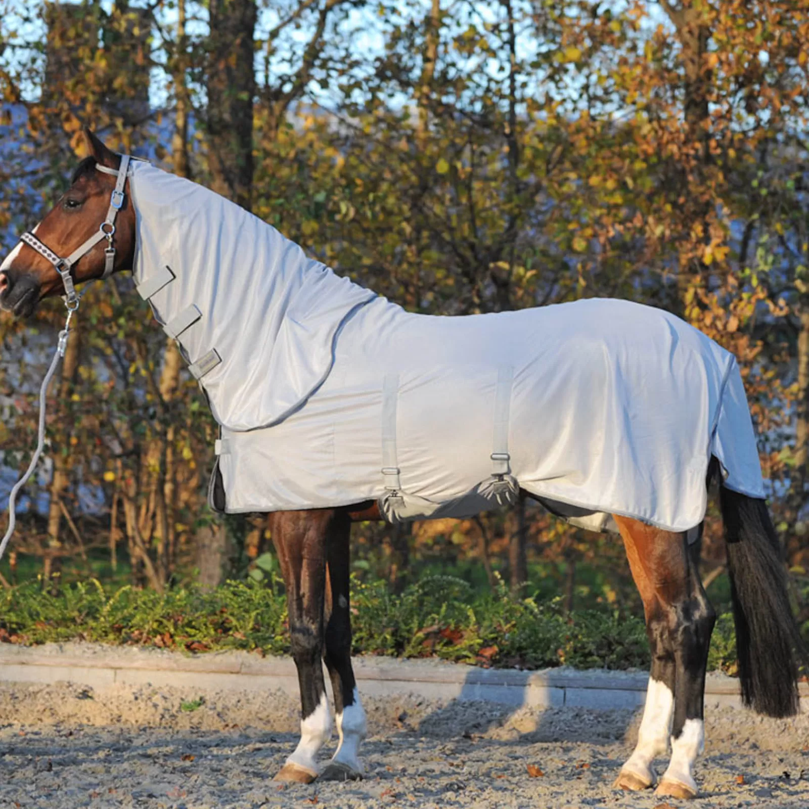 kavalkade Fly Rug With Removable Neck> Fly Rugs