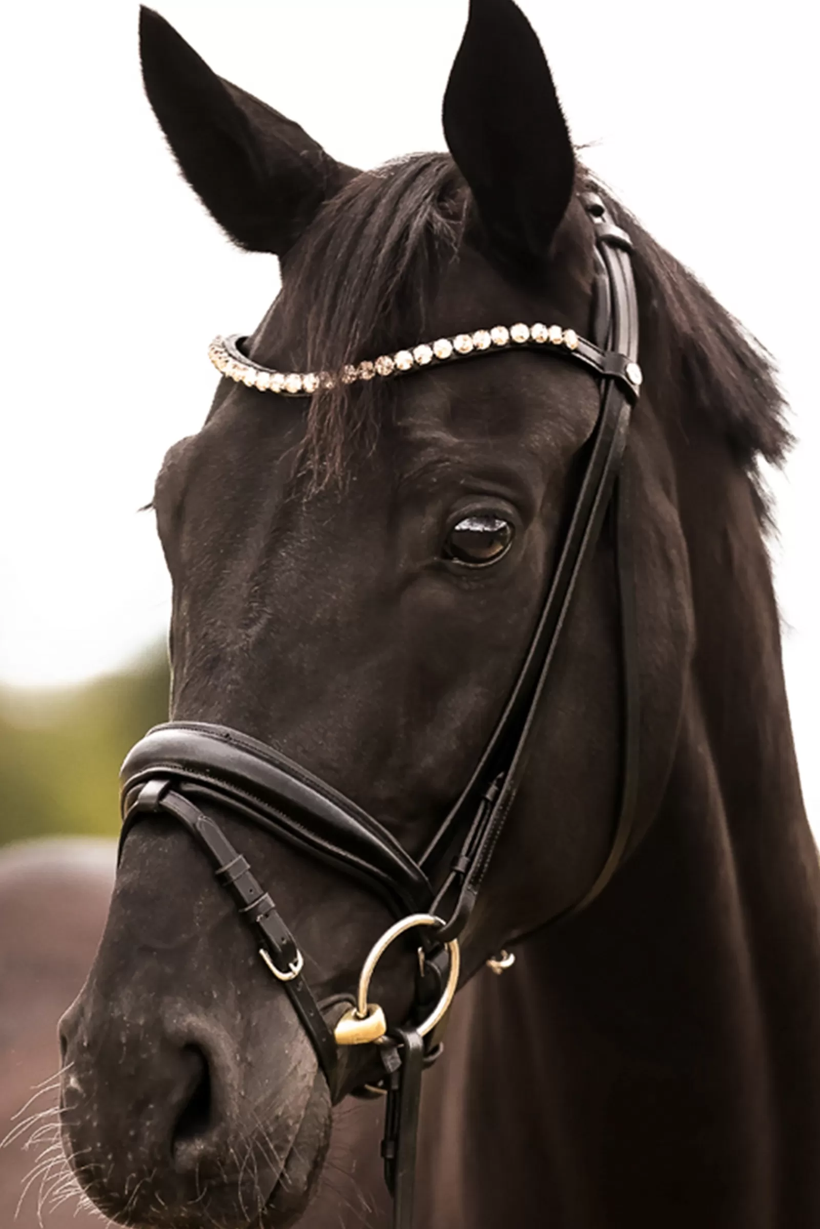 kavalkade Fortuna Kavalsh4 Bridle> Bridles & Nosebands