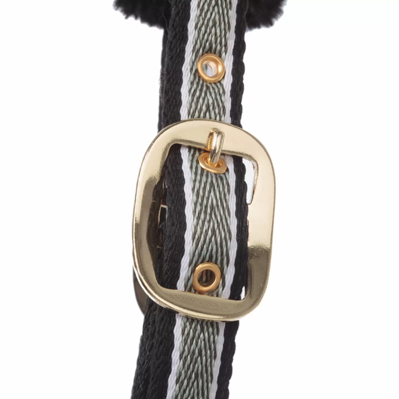 kavalkade Gretchen Halter> Headcollars & Halters