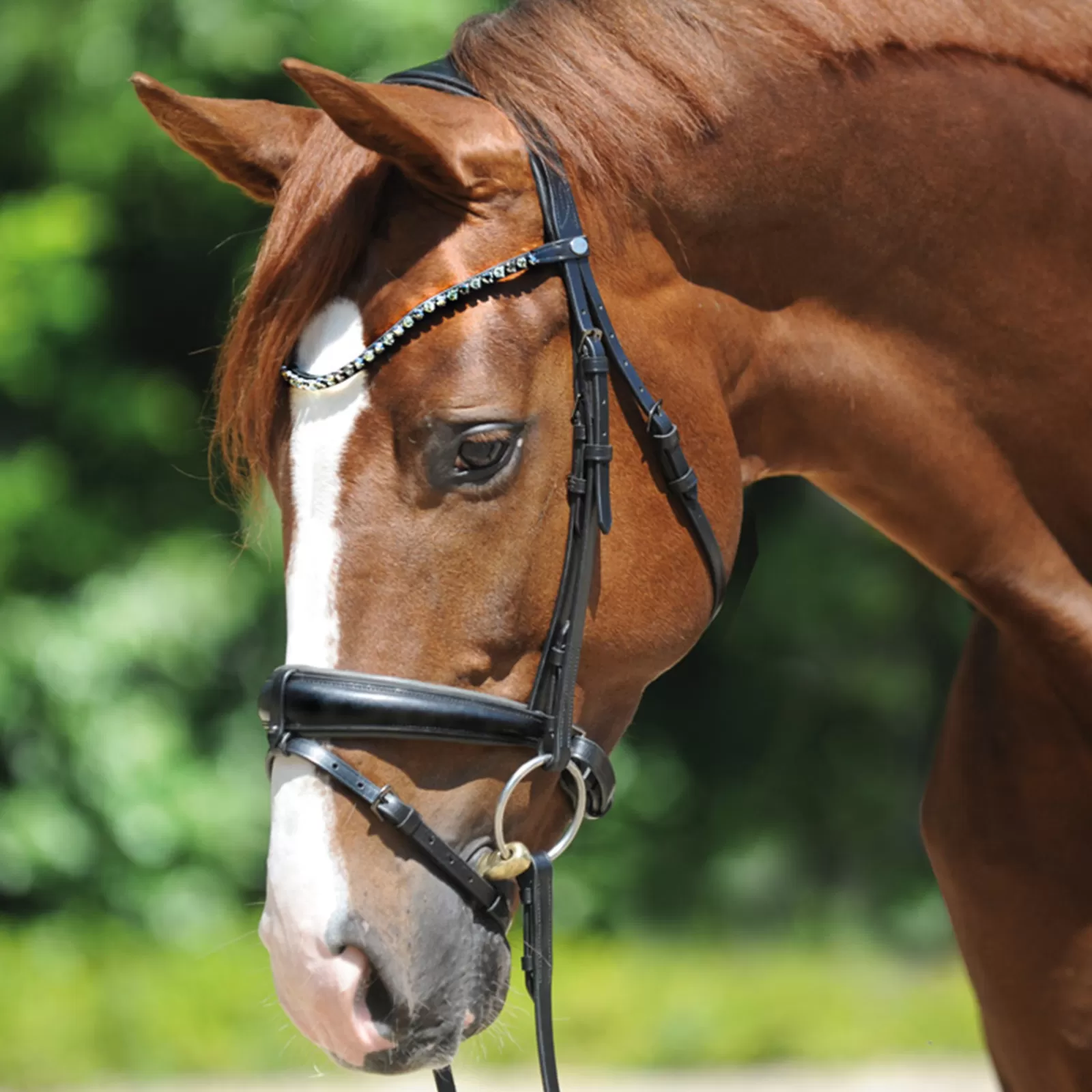 kavalkade Grey Bridle> Bridles & Nosebands