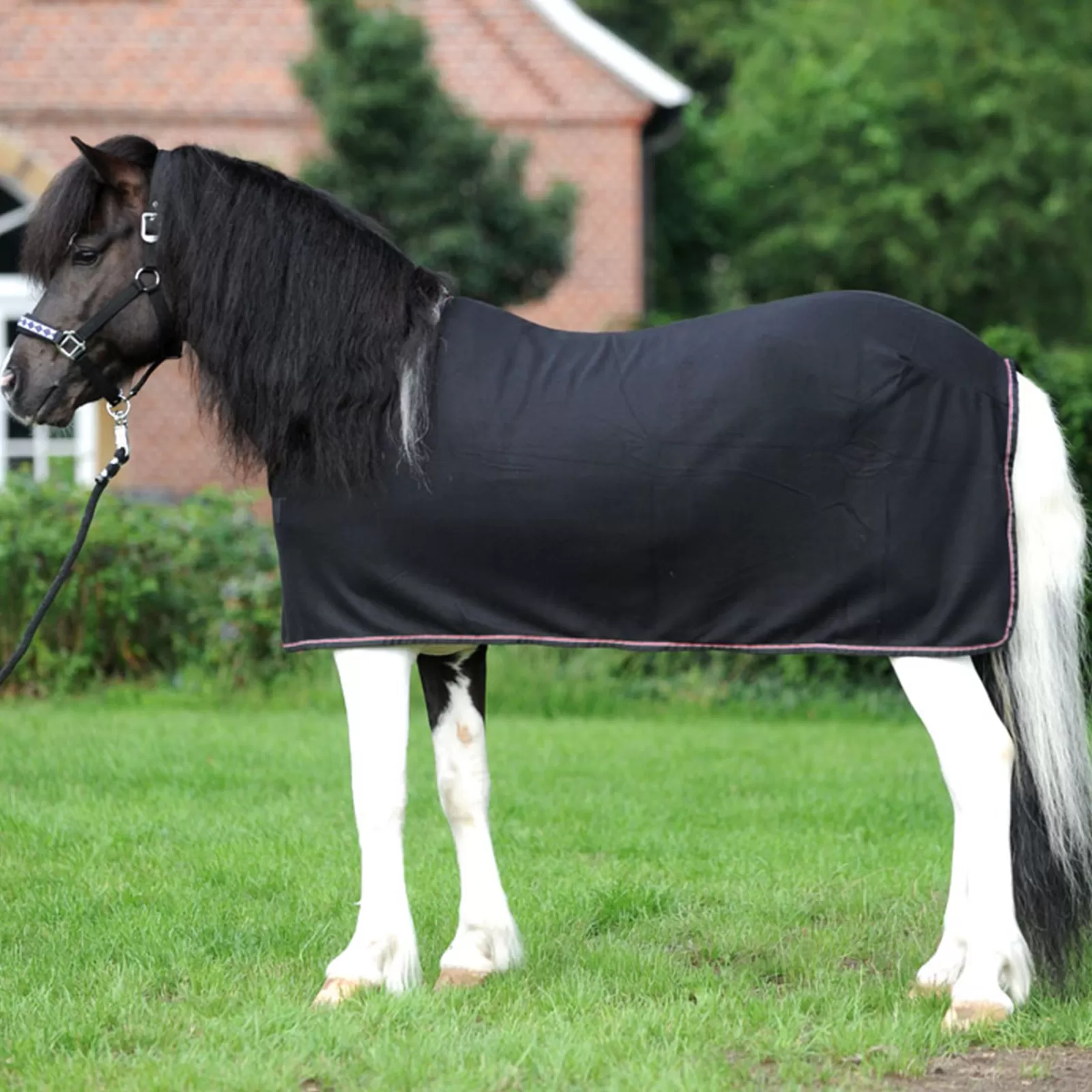 kavalkade Island-Ecoline Fleece Cooler Rug> Fleece Horse Rugs & Cooler Rugs