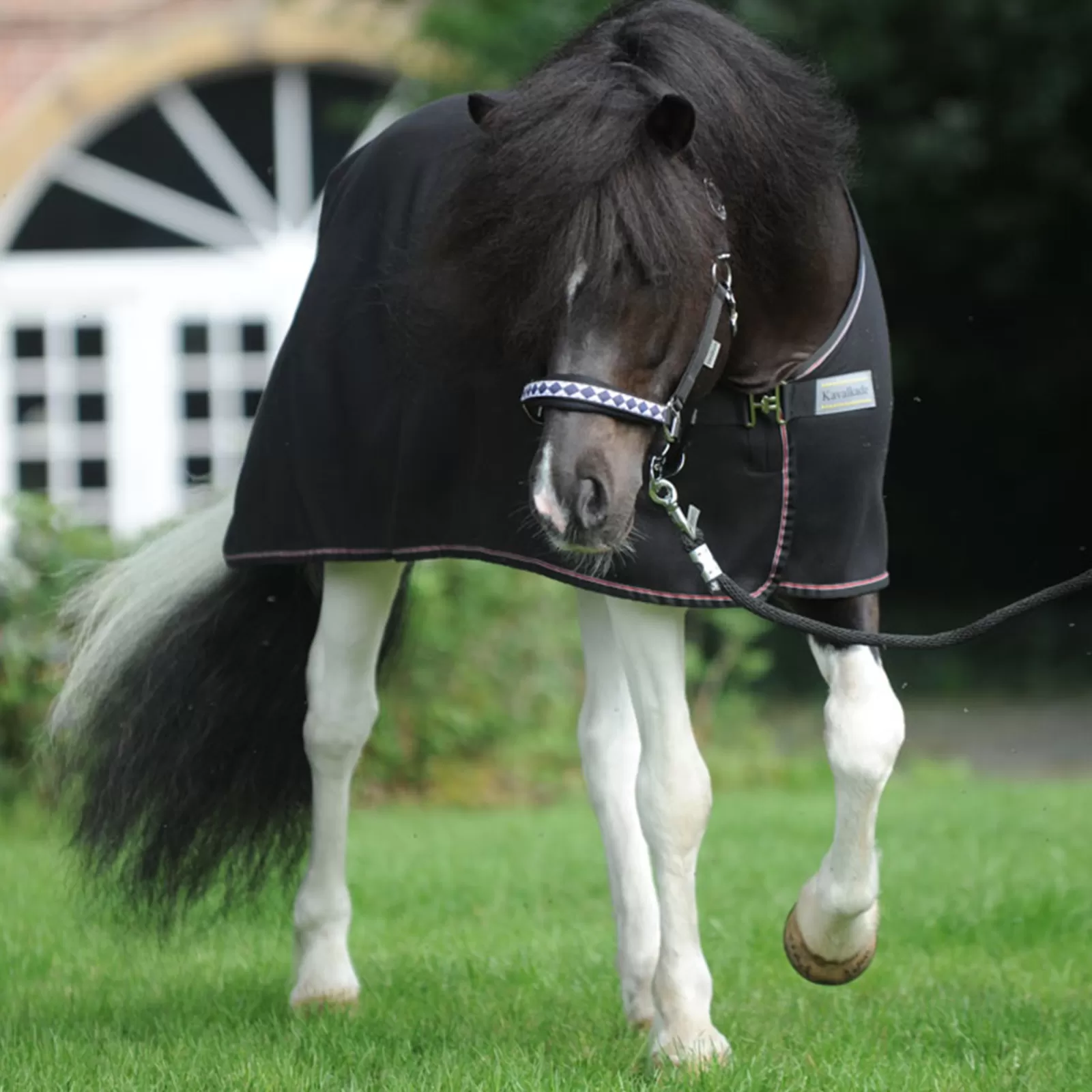 kavalkade Island-Ecoline Fleece Cooler Rug> Fleece Horse Rugs & Cooler Rugs