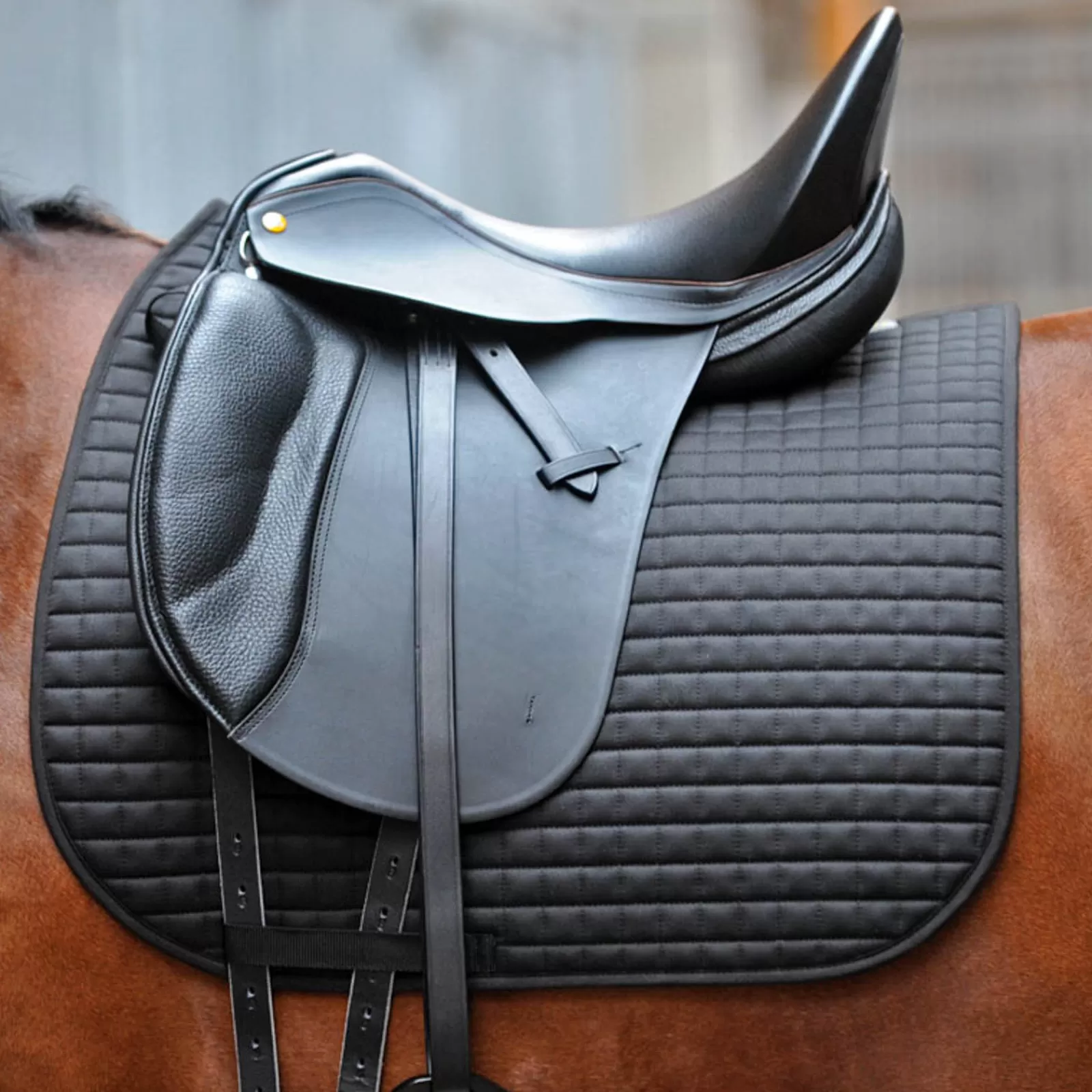 kavalkade Kavaleasy Dressage Saddle Pad> Dressage Saddle Pads