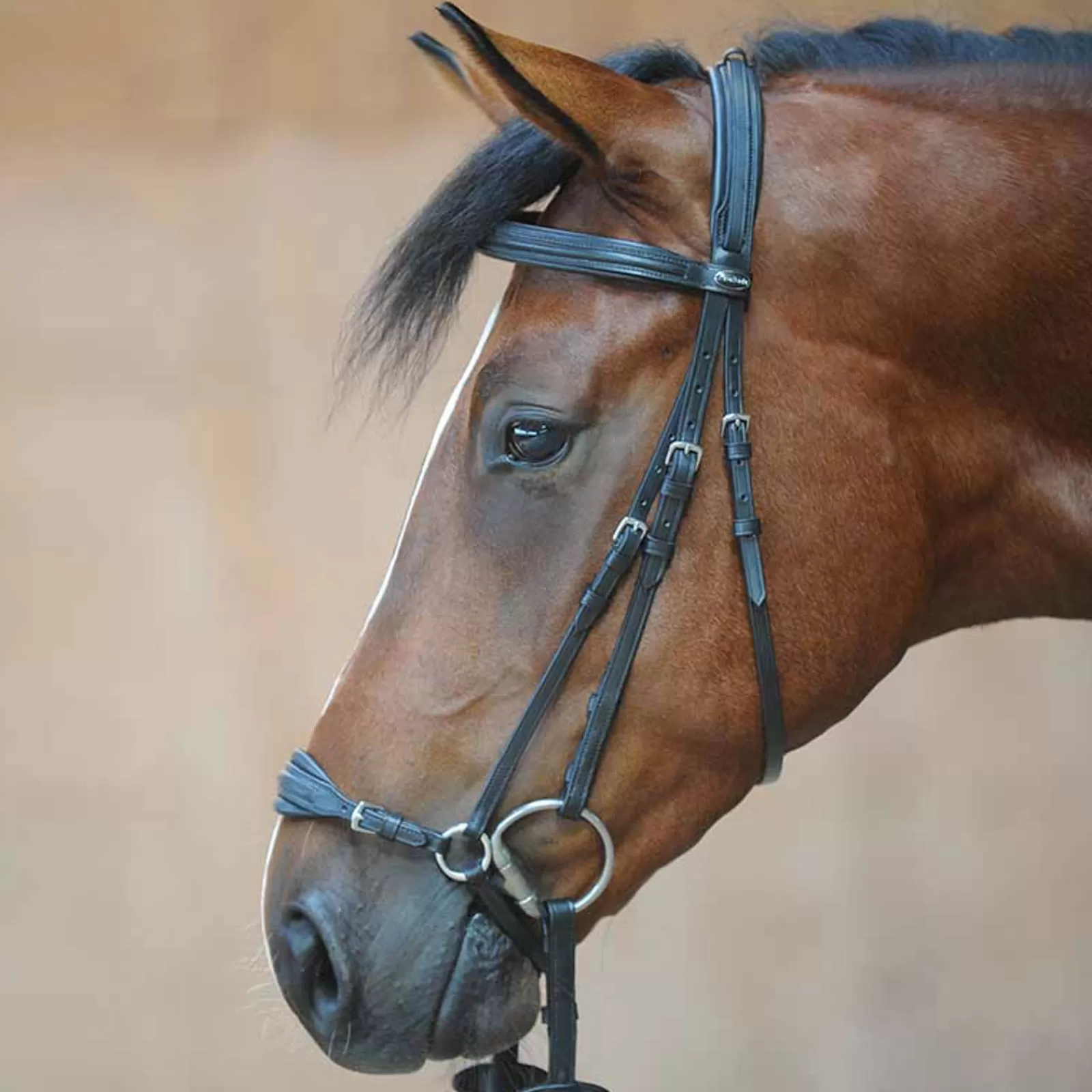 kavalkade Levana Bridle> Bridles & Nosebands