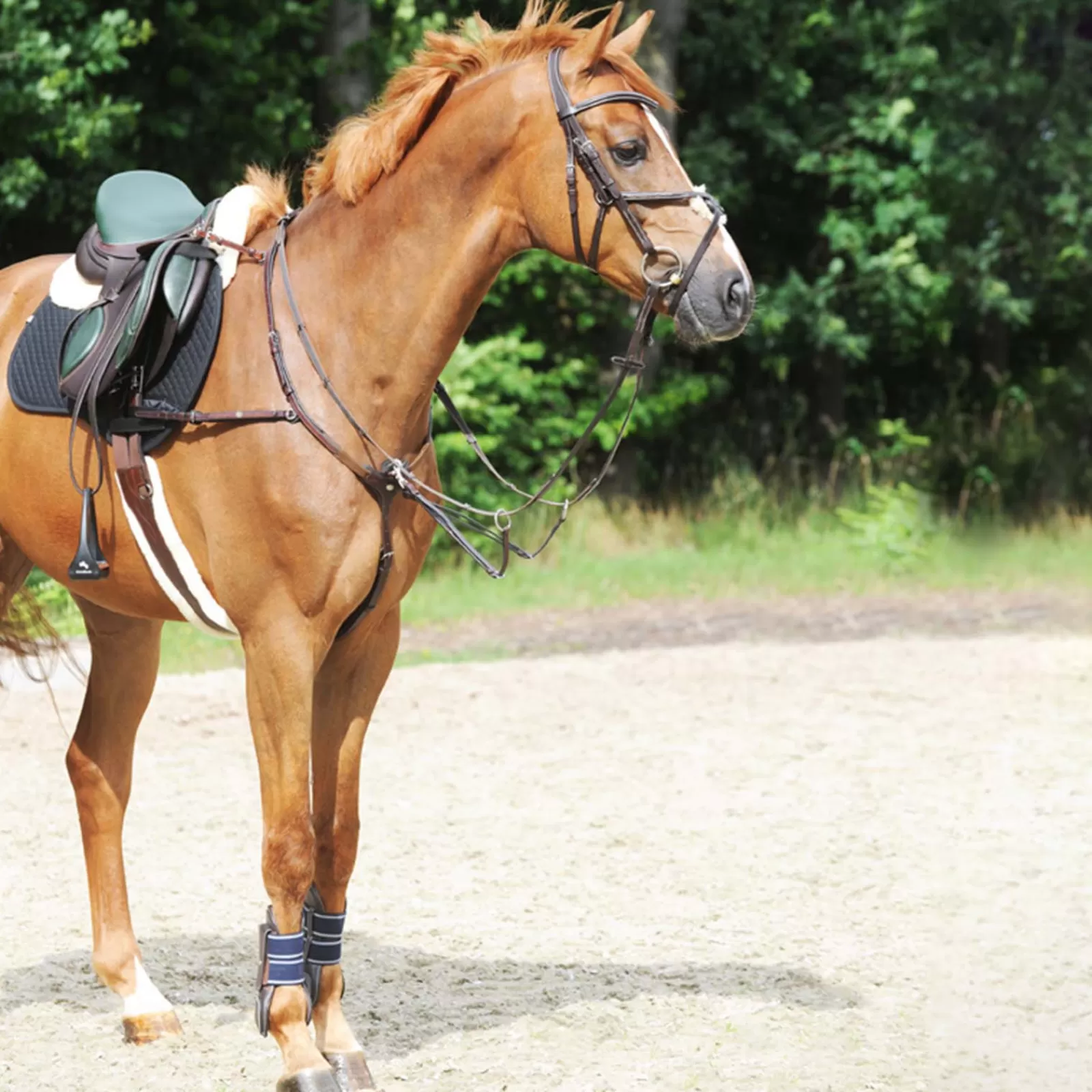 kavalkade Leyla Breastplate> Breastplates