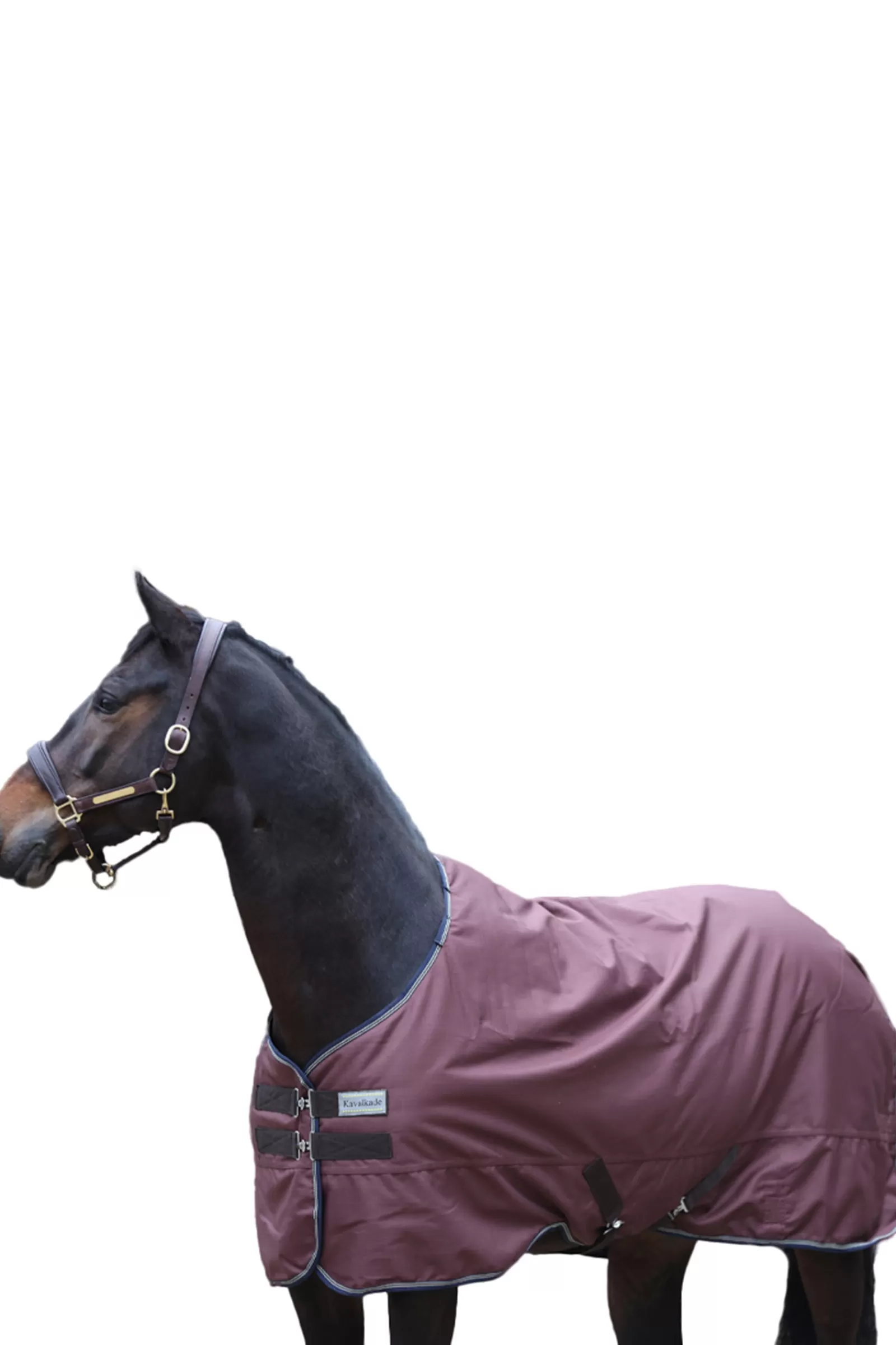 kavalkade Montreal Turnout Rug, 100G> Lightweight Turnout Rugs