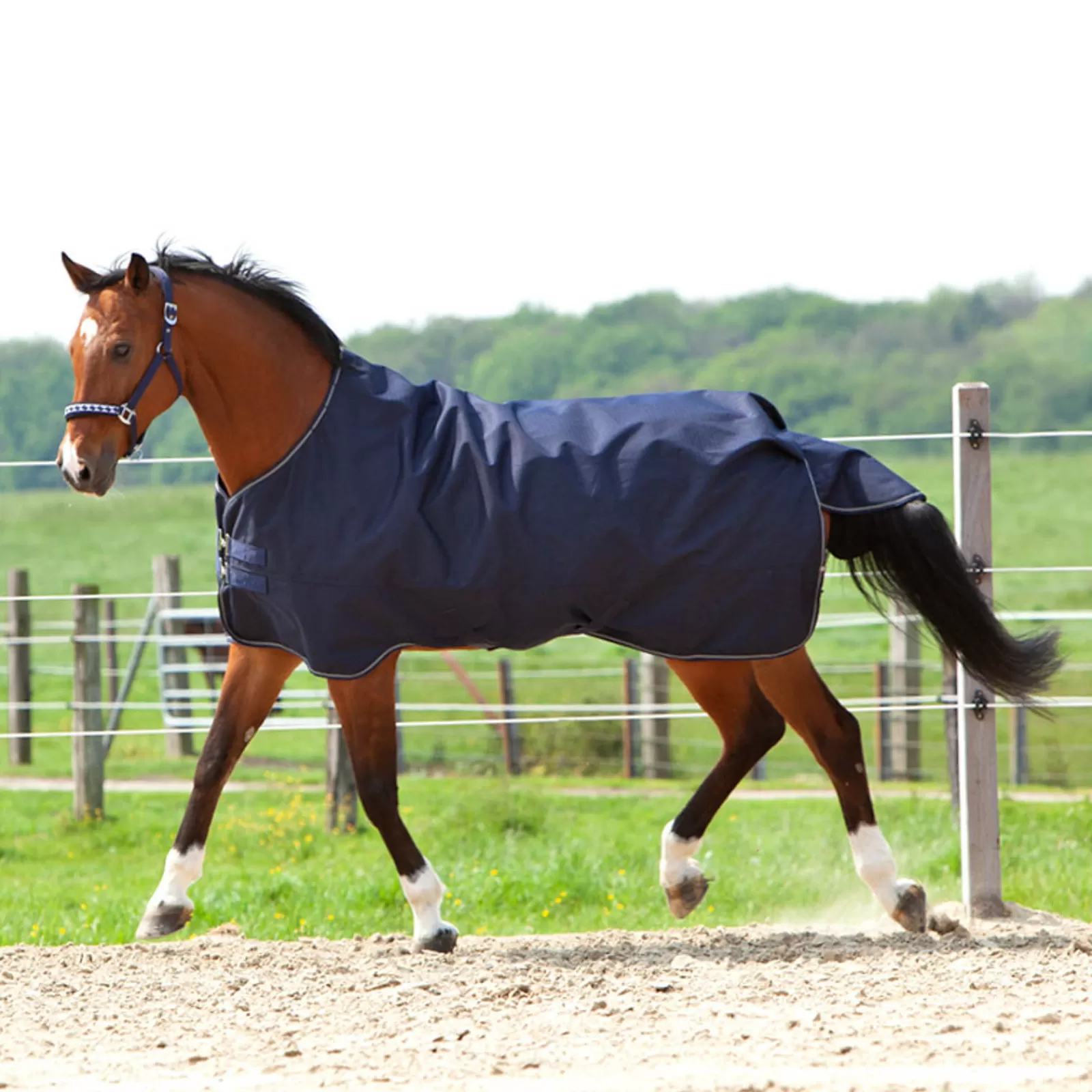 kavalkade Montreal Turnout Rug, 200G> Medium & Heavyweight Turnout Rugs