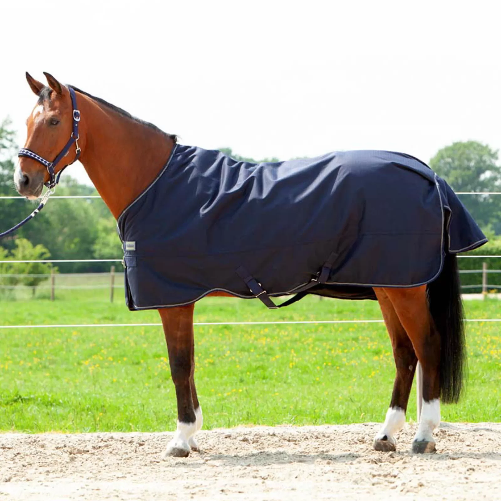 kavalkade Montreal Turnout Rug, 200G> Medium & Heavyweight Turnout Rugs