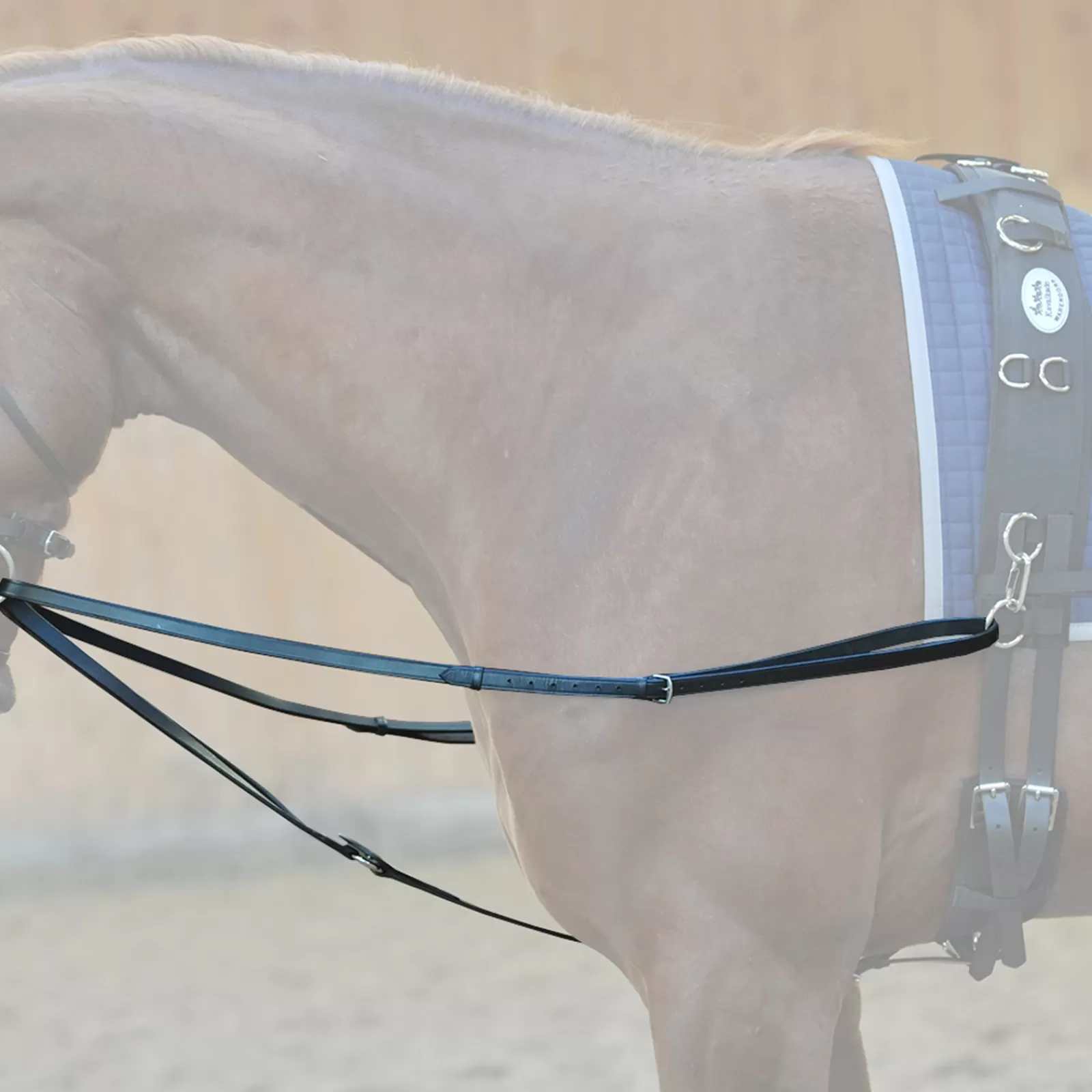 kavalkade Running Reins> Auxiliary Reins & Lunging Aids