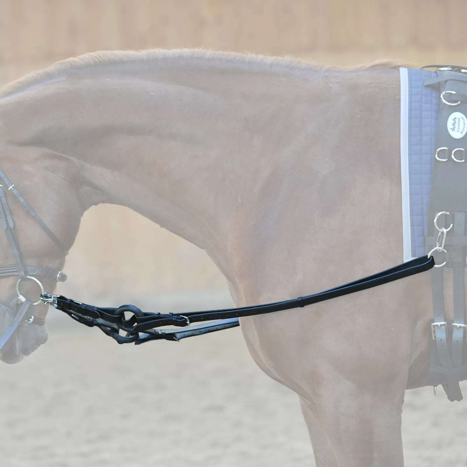 kavalkade Side Reins> Auxiliary Reins & Lunging Aids