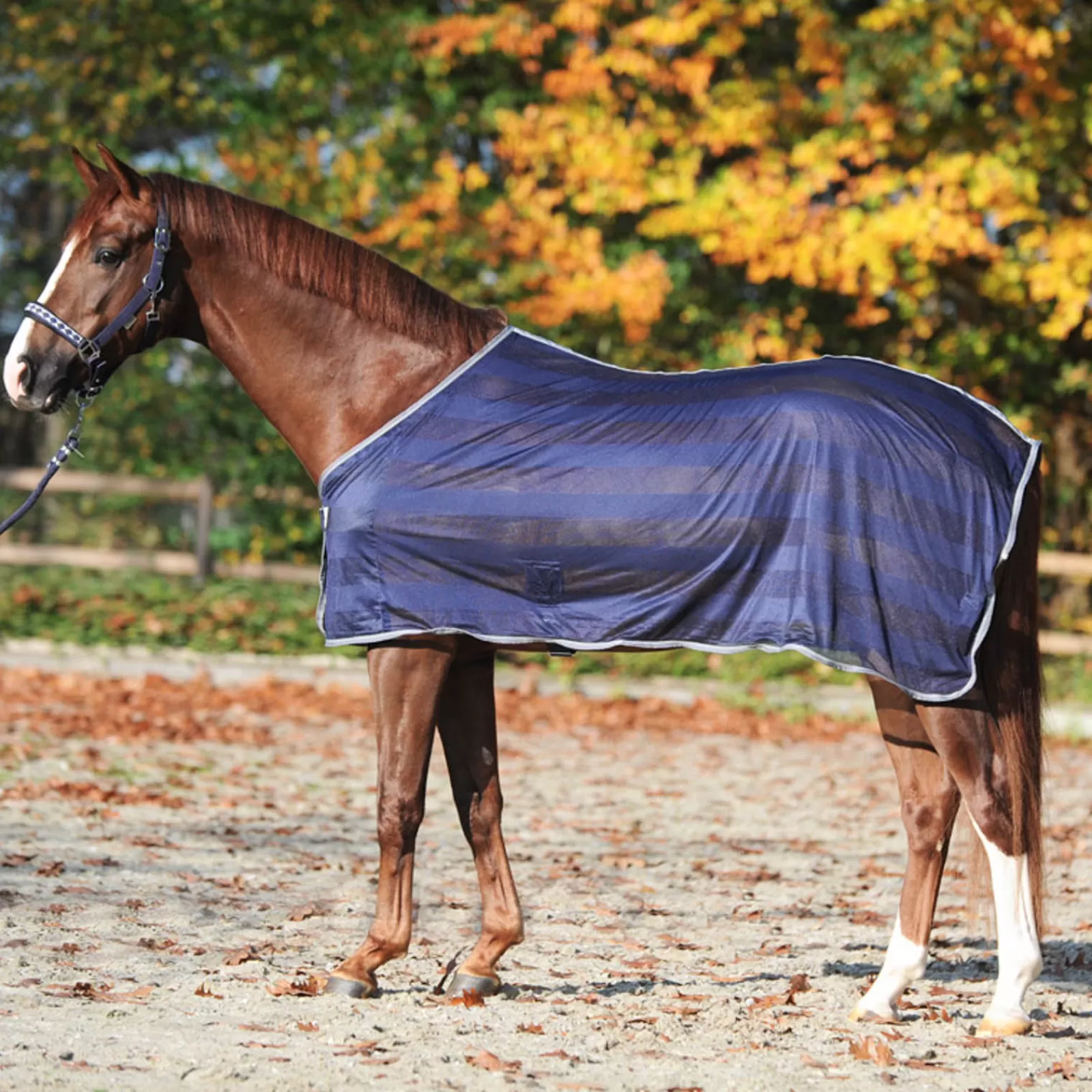 kavalkade Stripe Fly Rug> Fly Rugs