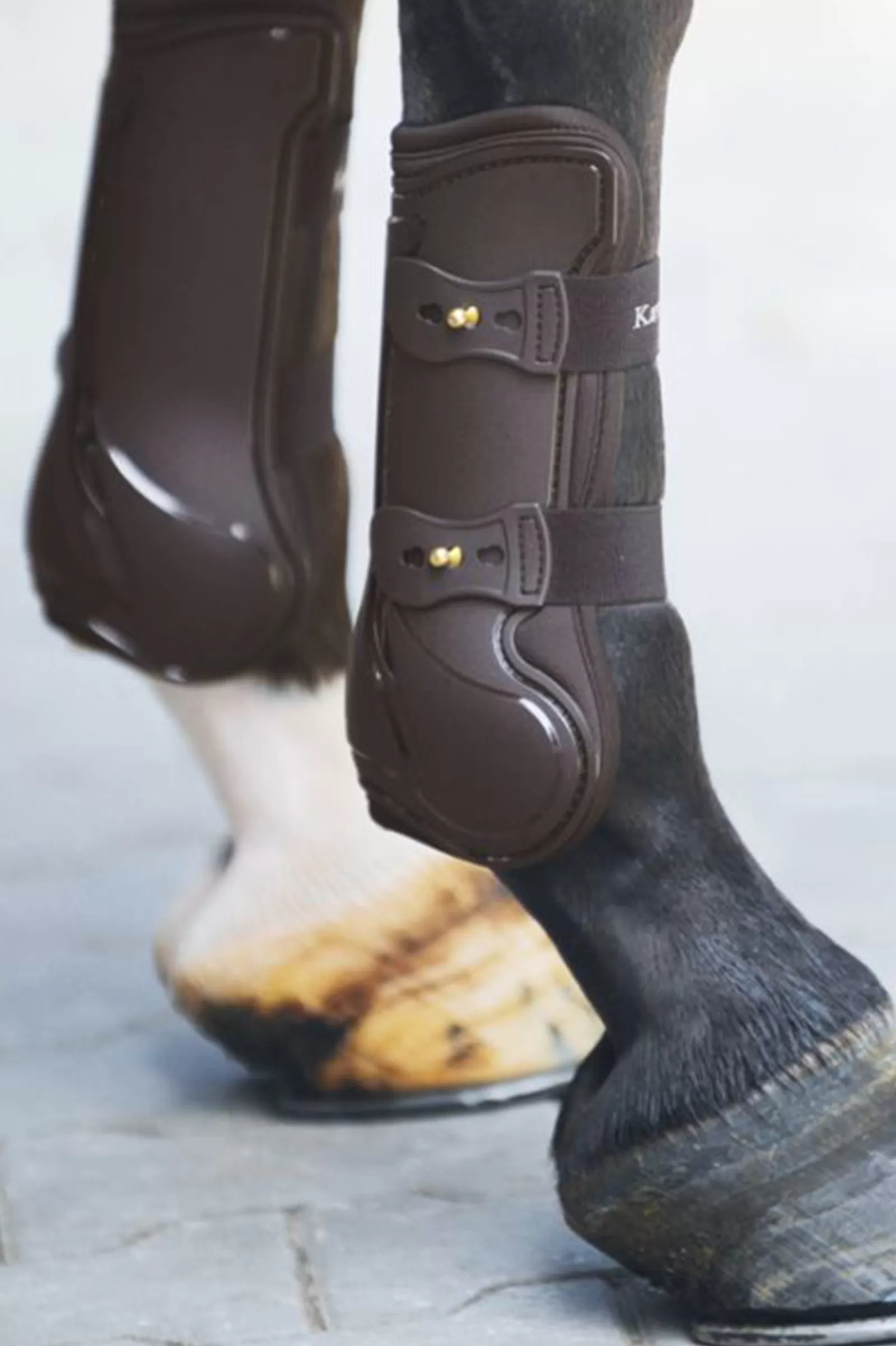 kavalkade Tendon Boots Compete> Horse Boots