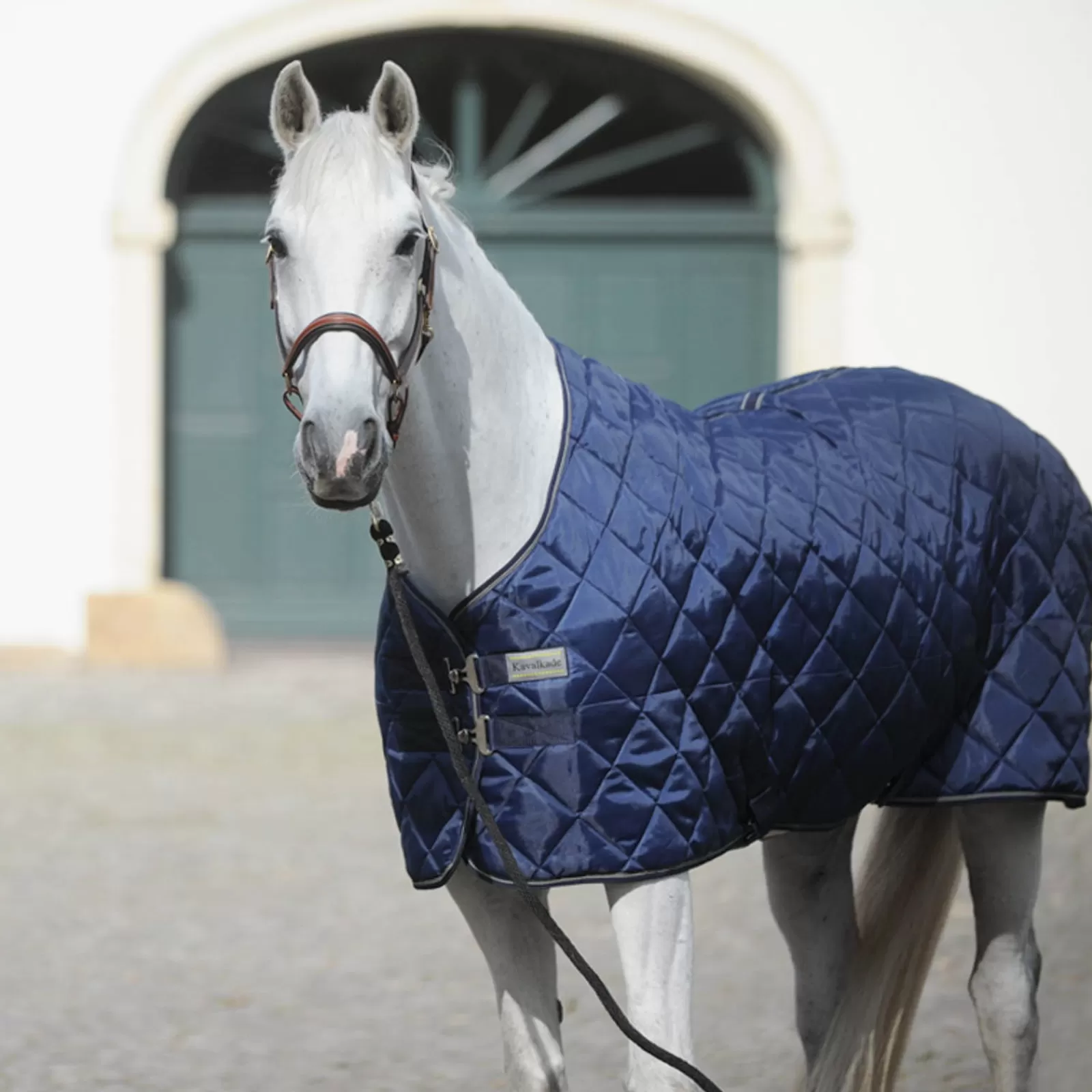 kavalkade Toronto Stable Rug, 0G> Stable Rugs & Liners