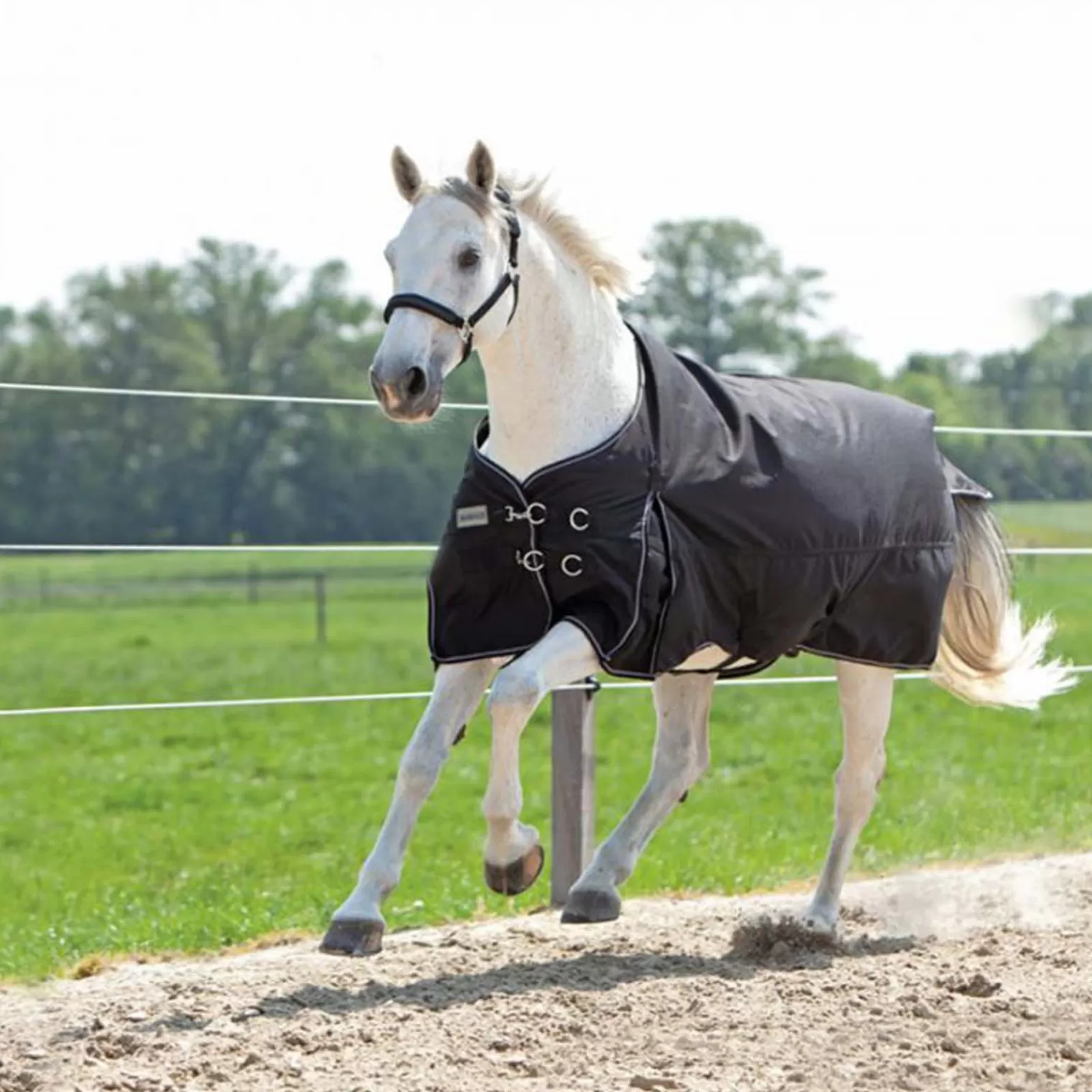 kavalkade Turnout Rug Alaska Iv Fleece> Lightweight Turnout Rugs