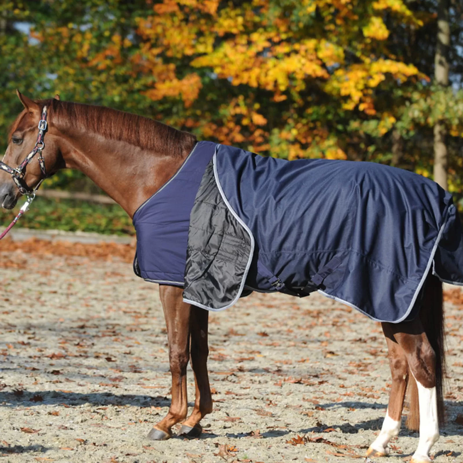 kavalkade Under Rug 150G> Stable Rugs & Liners