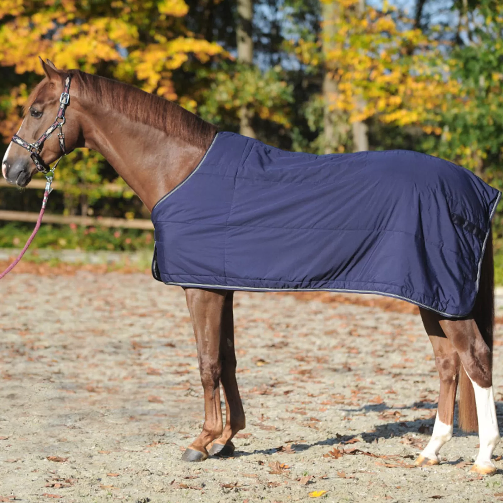 kavalkade Under Rug 150G> Stable Rugs & Liners