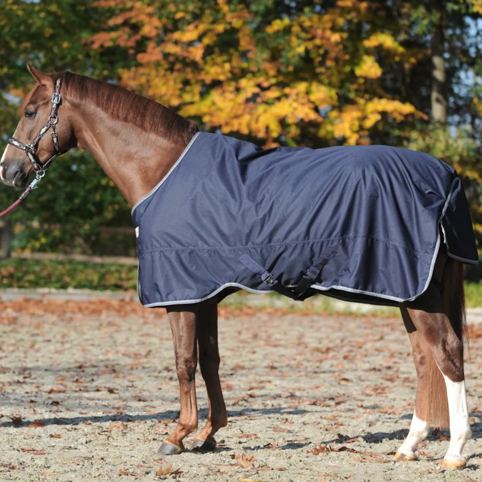 kavalkade Winnipeg Turnout Rug, 200G> Medium & Heavyweight Turnout Rugs